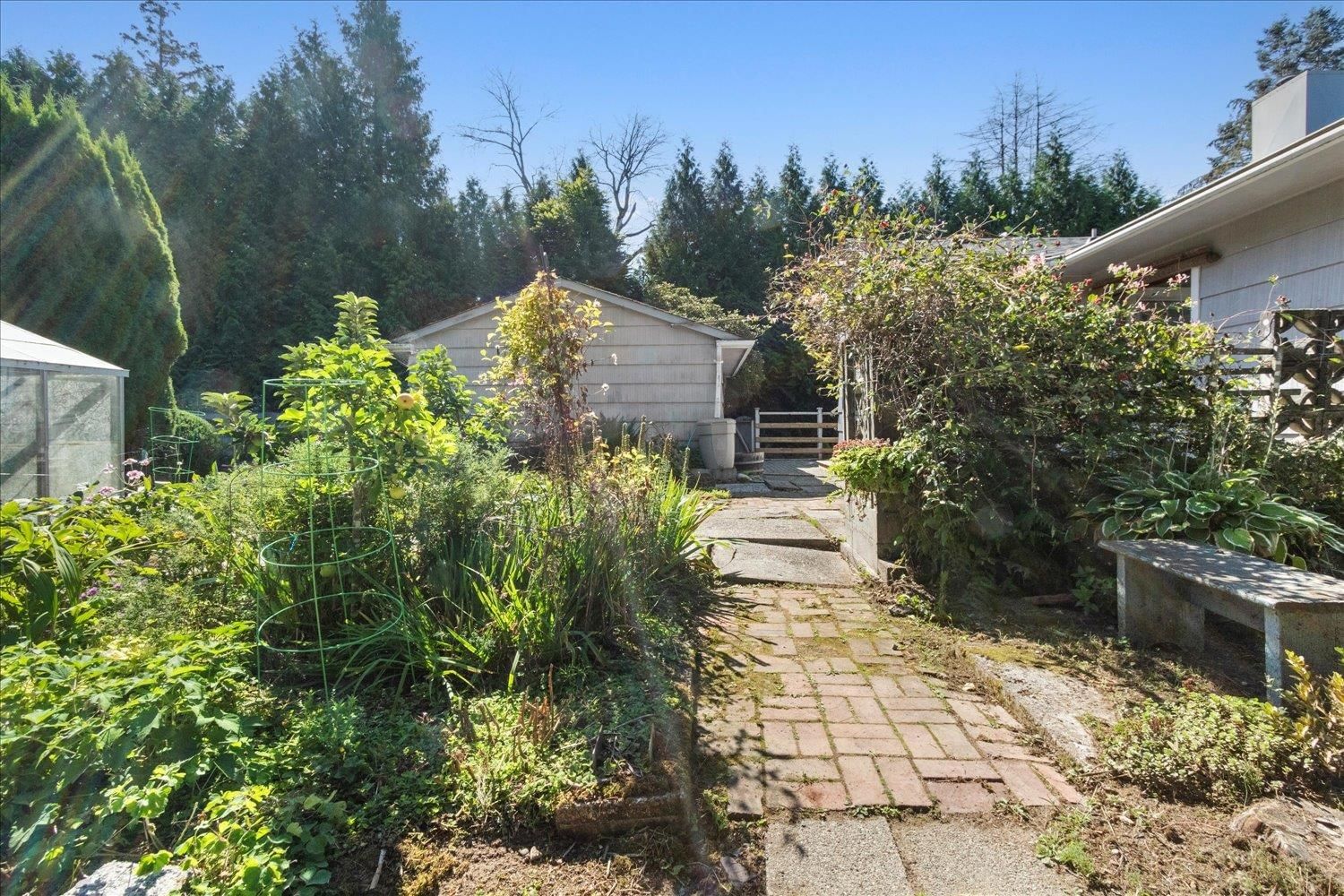 Listing Image 23