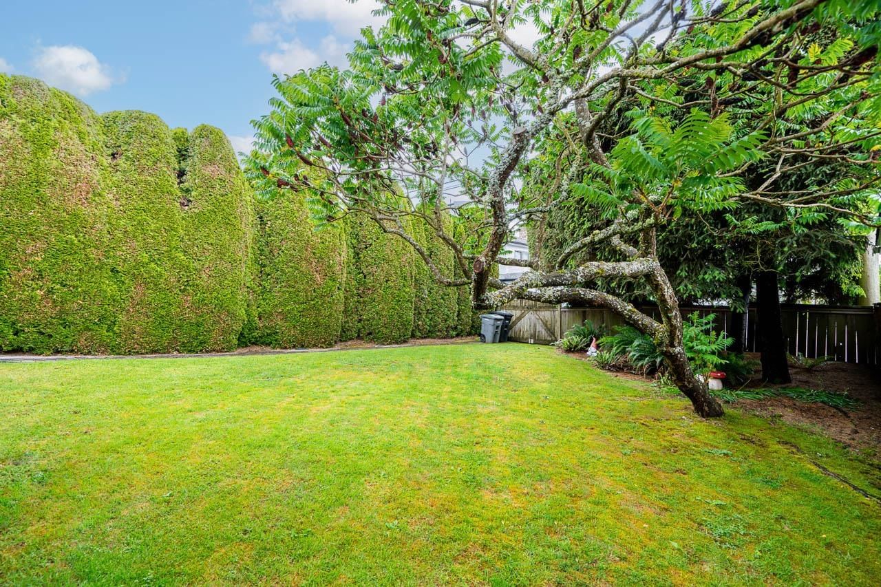 Listing Image 11