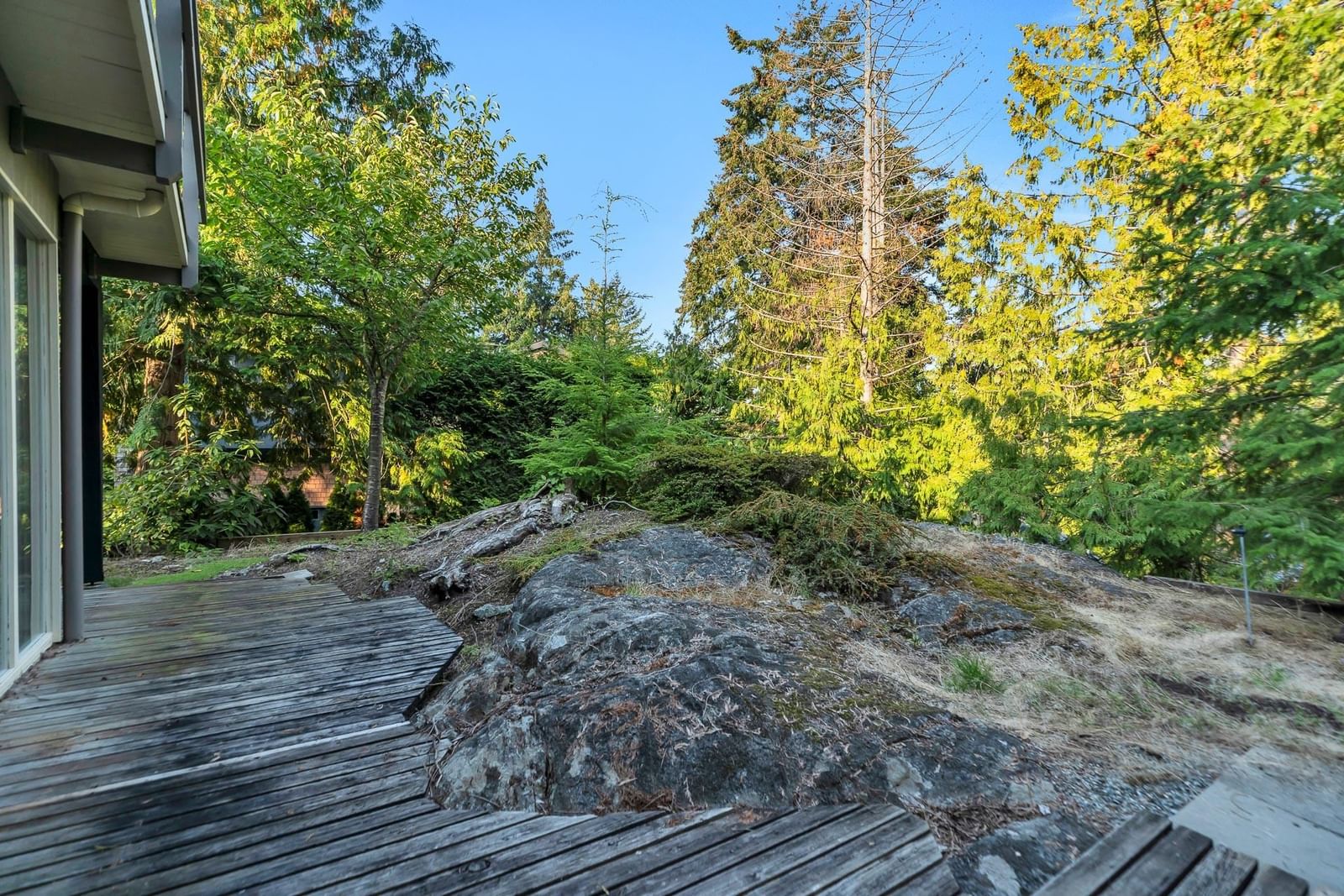 Listing Image 33