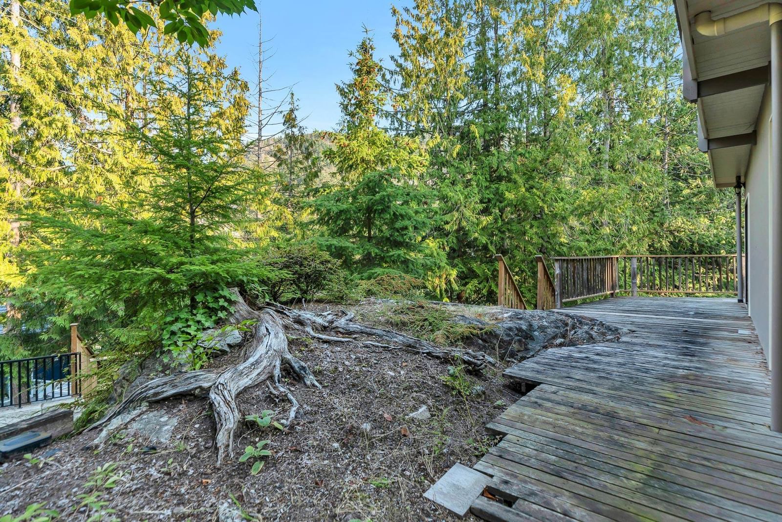 Listing Image 34