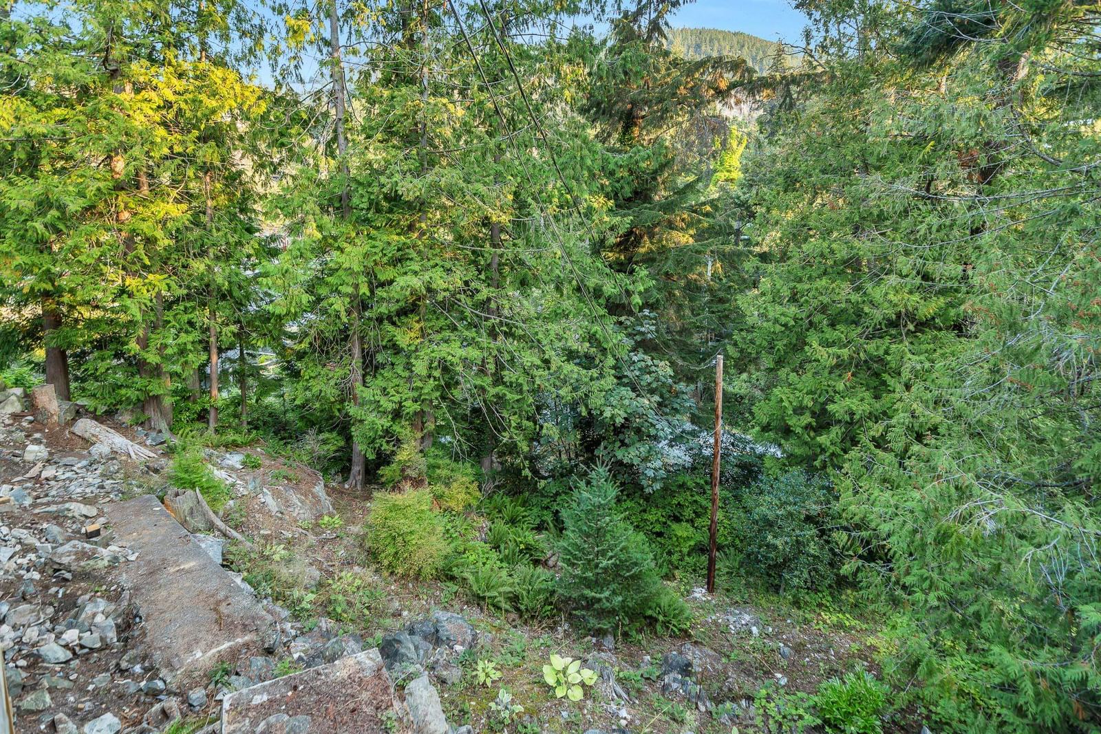 Listing Image 37