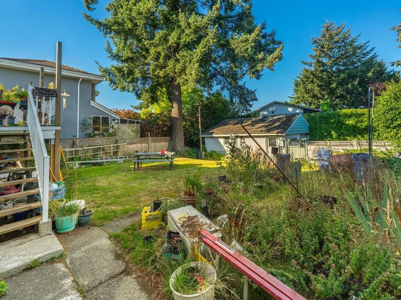 Listing Image 6