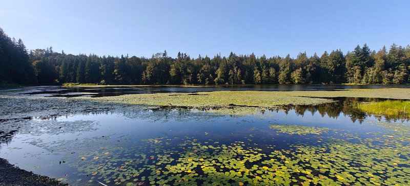 23455 8 Avenue, Langley, V2Z 2X9 | Image 3