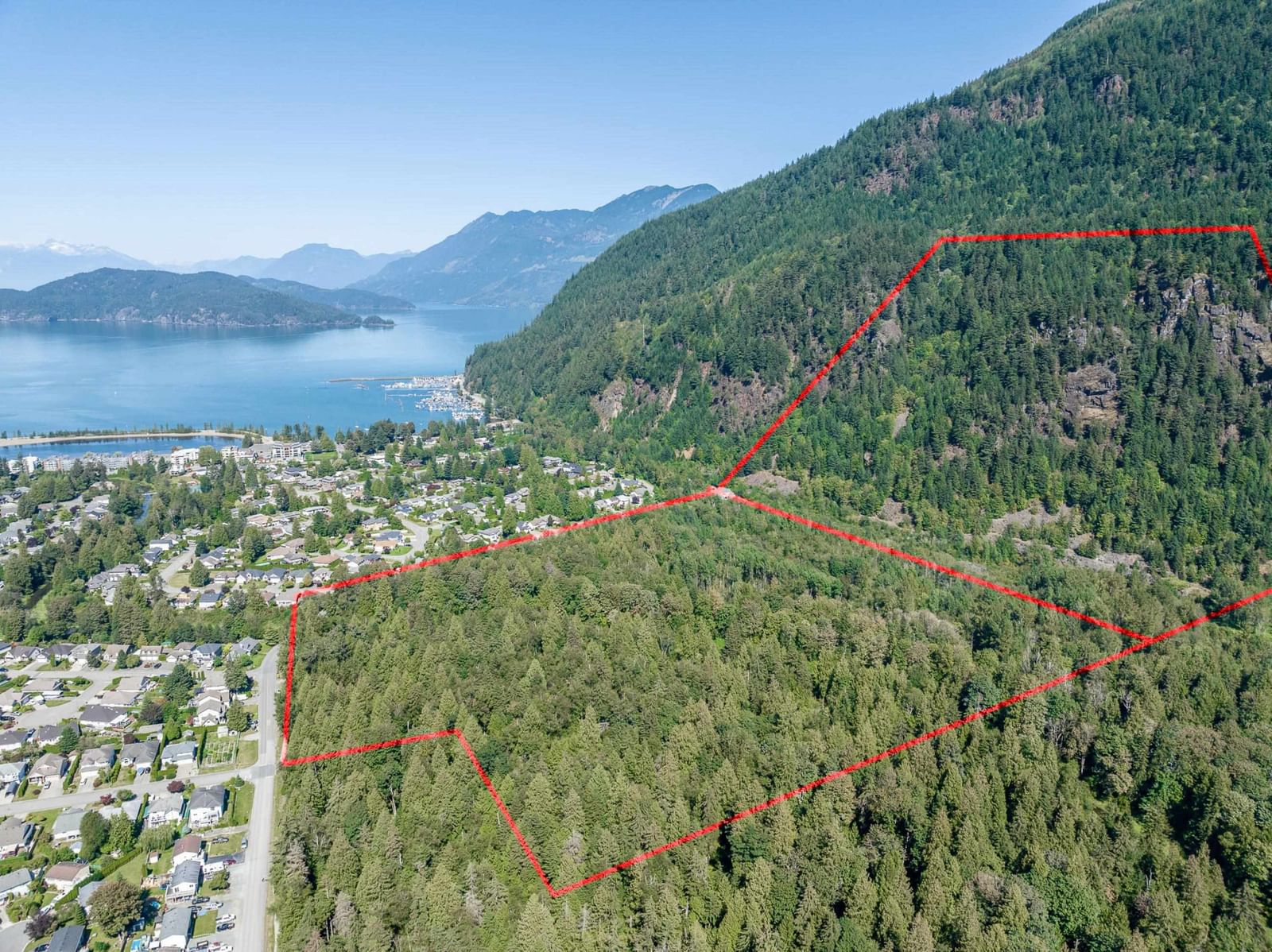 Listing Image 4