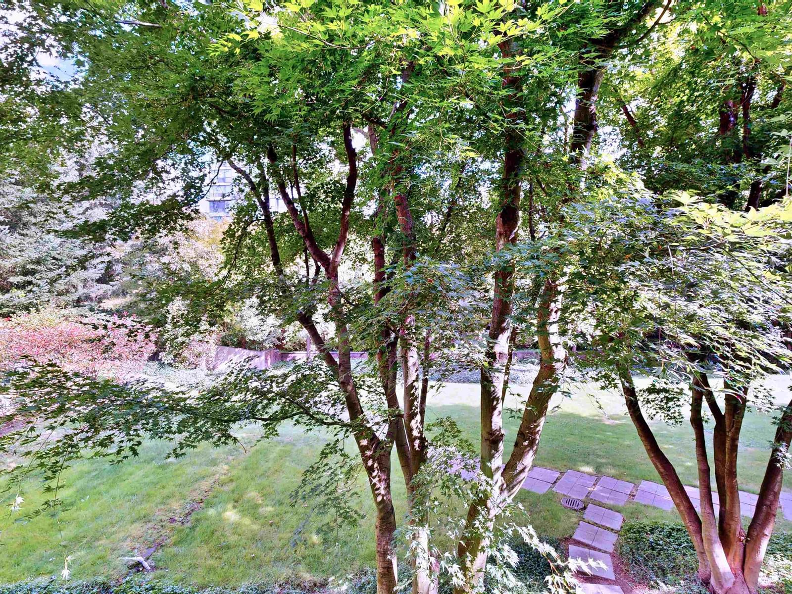 Listing Image 29