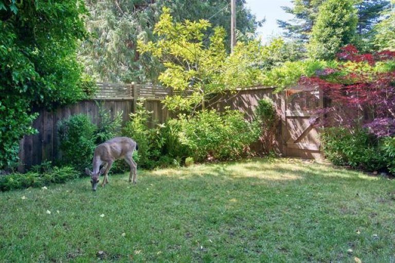 Listing Image 39