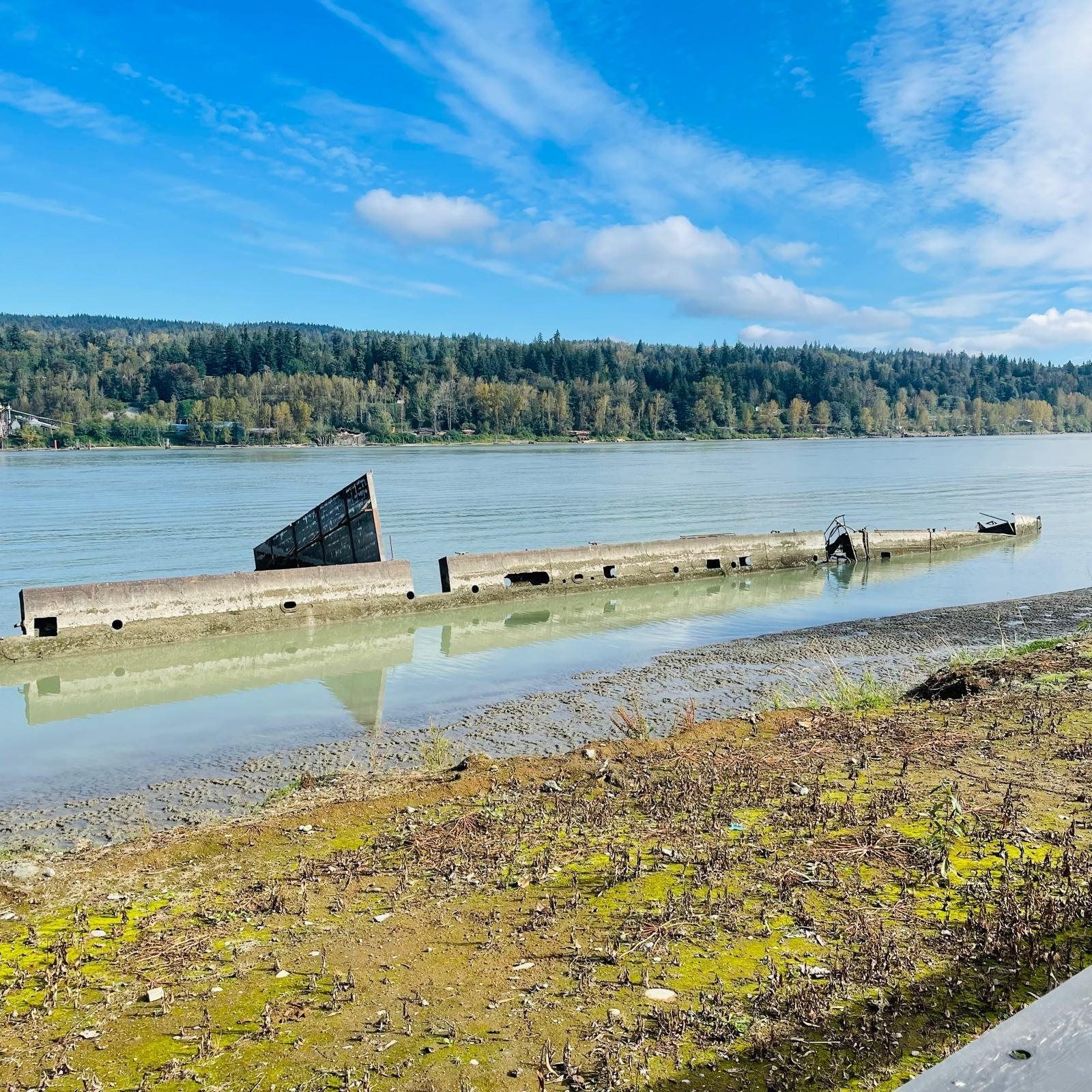 Listing Image 17