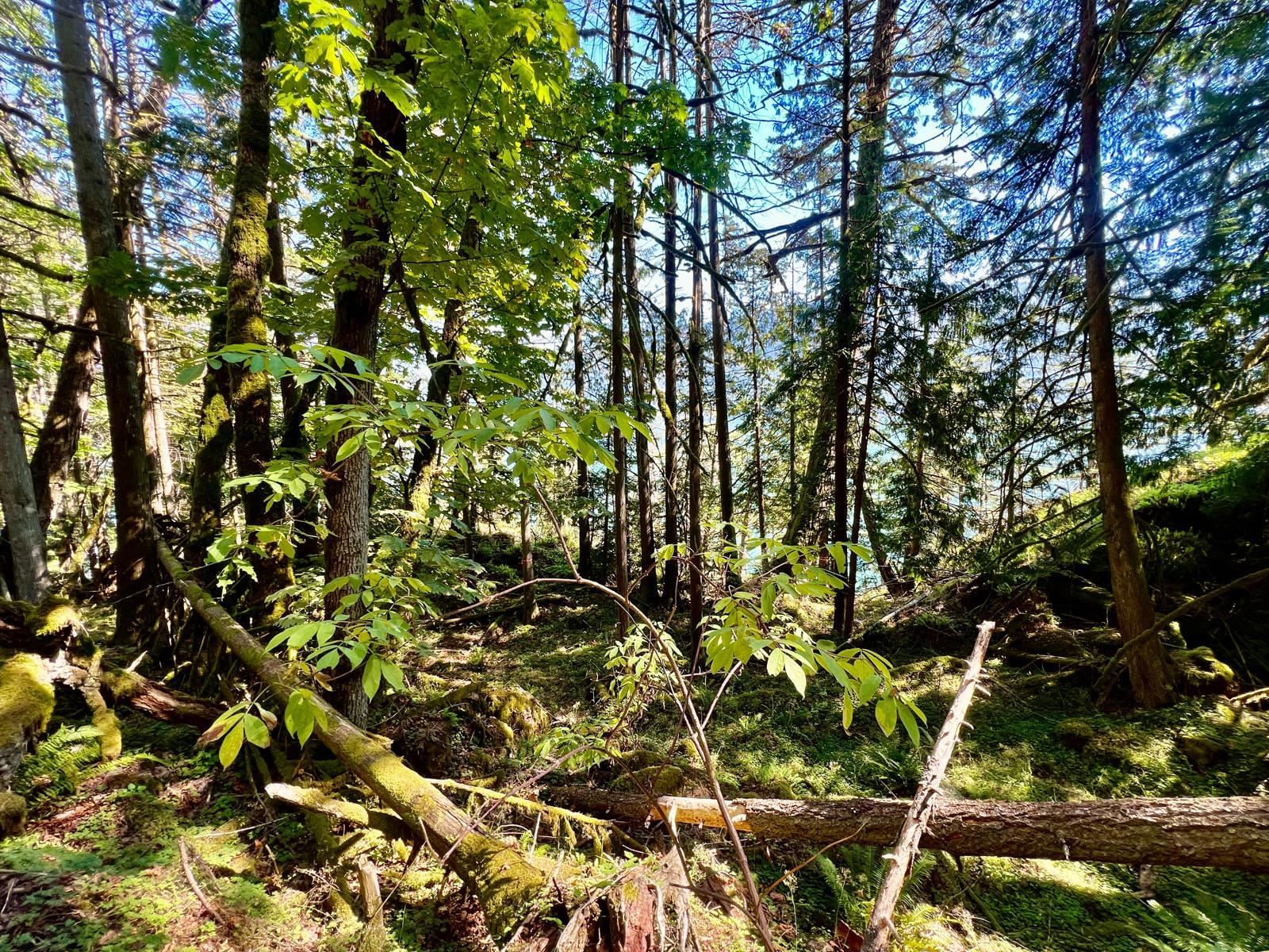 Listing Image 16