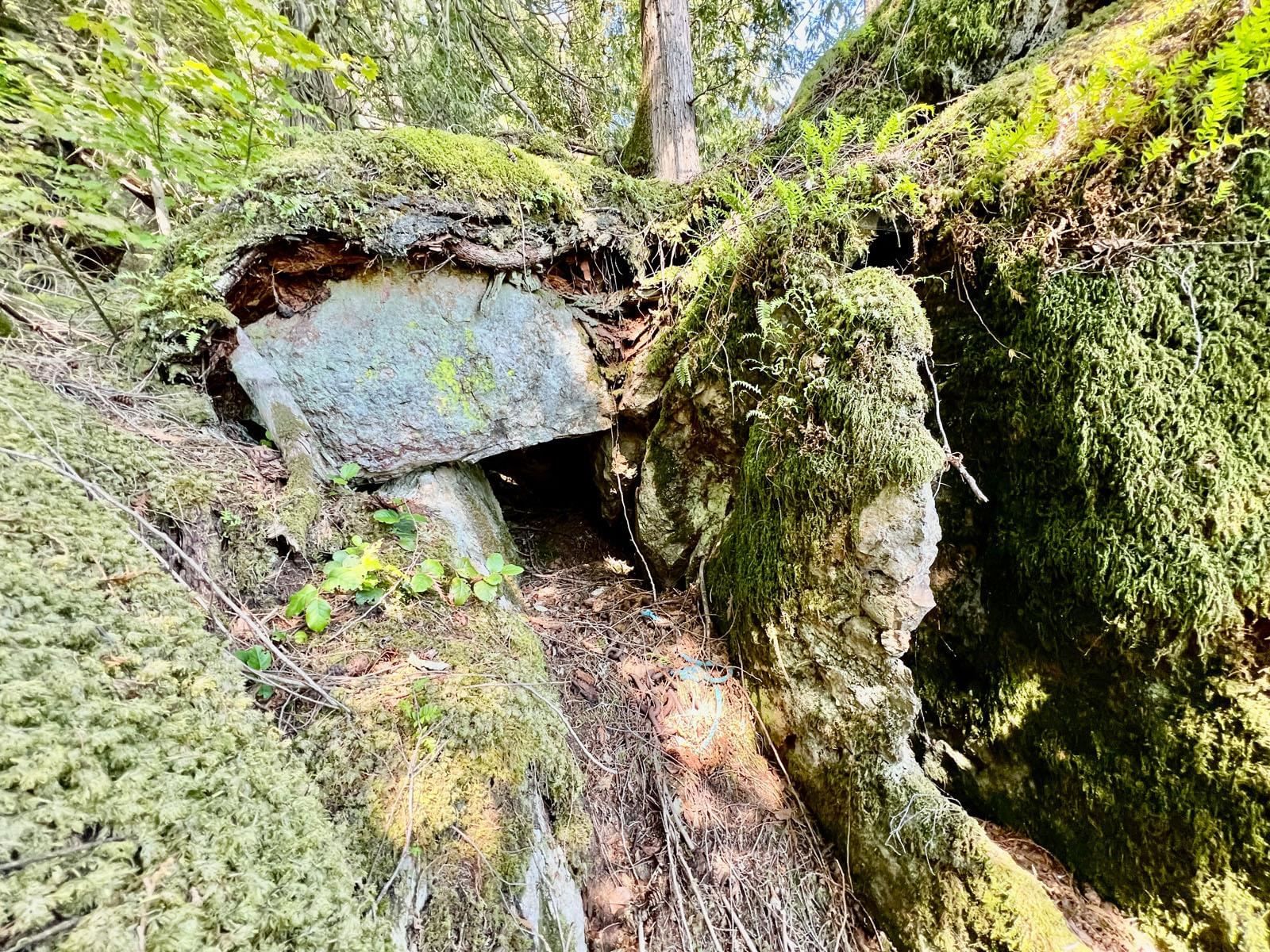 Listing Image 32