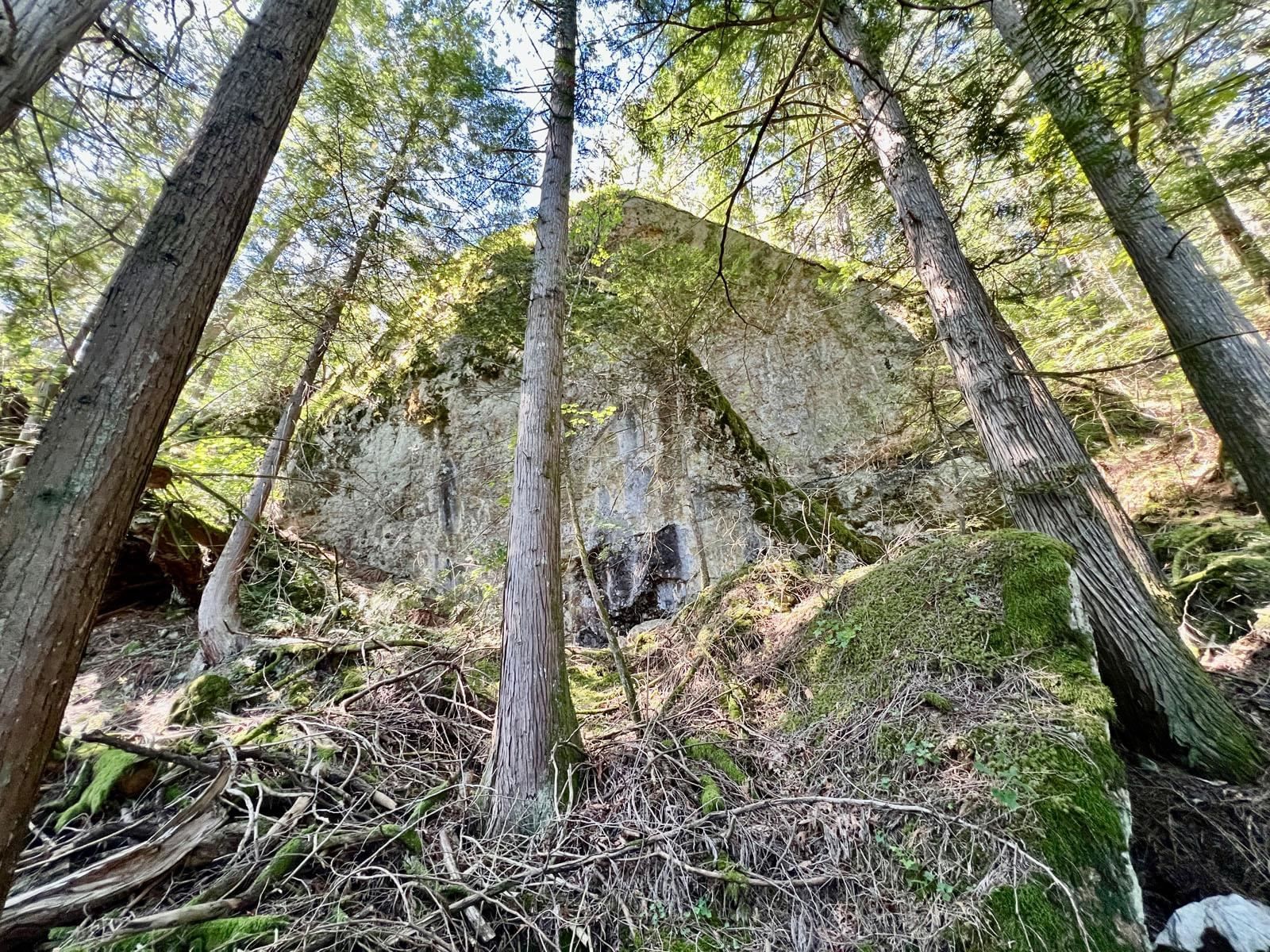 Listing Image 33