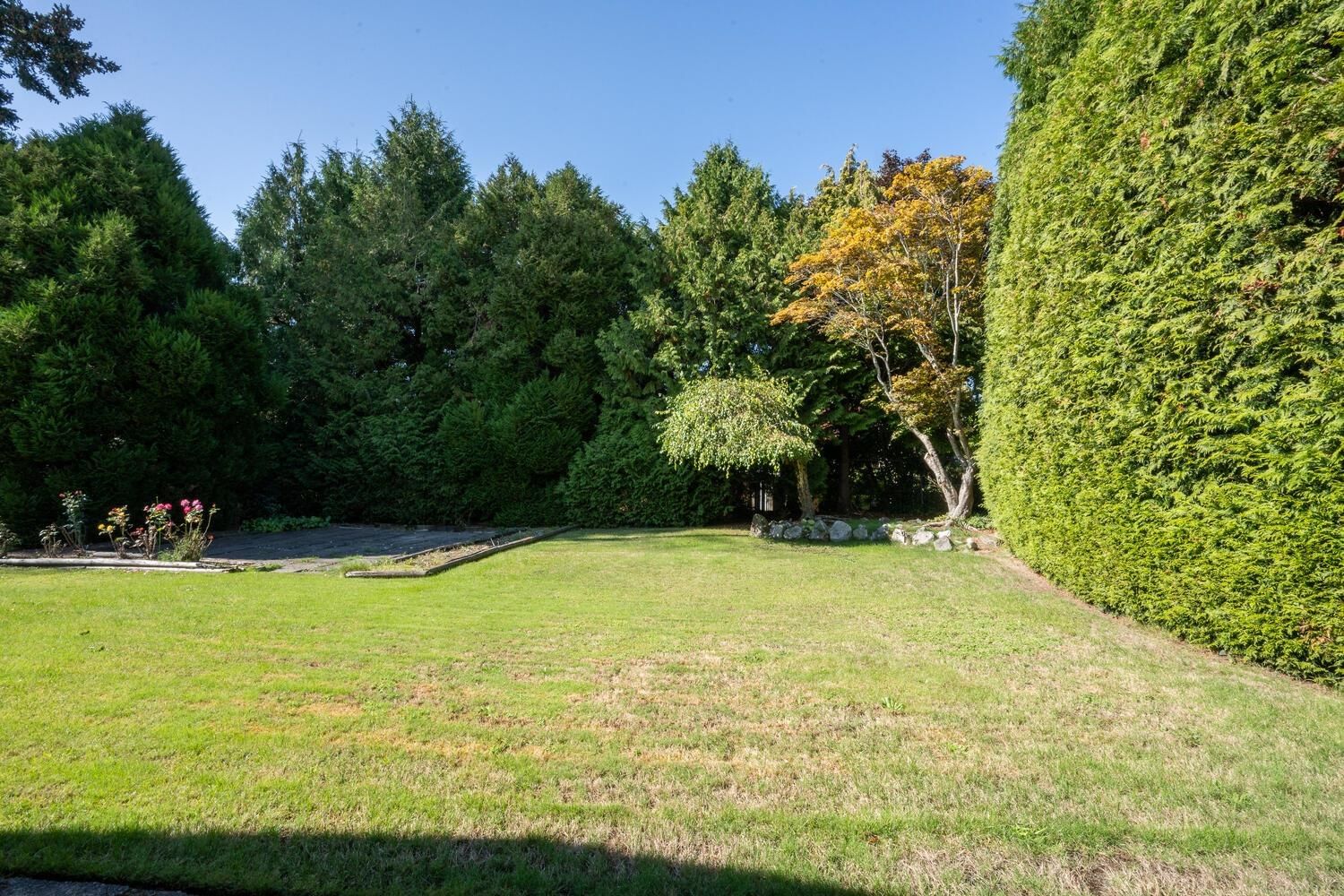 Listing Image 24