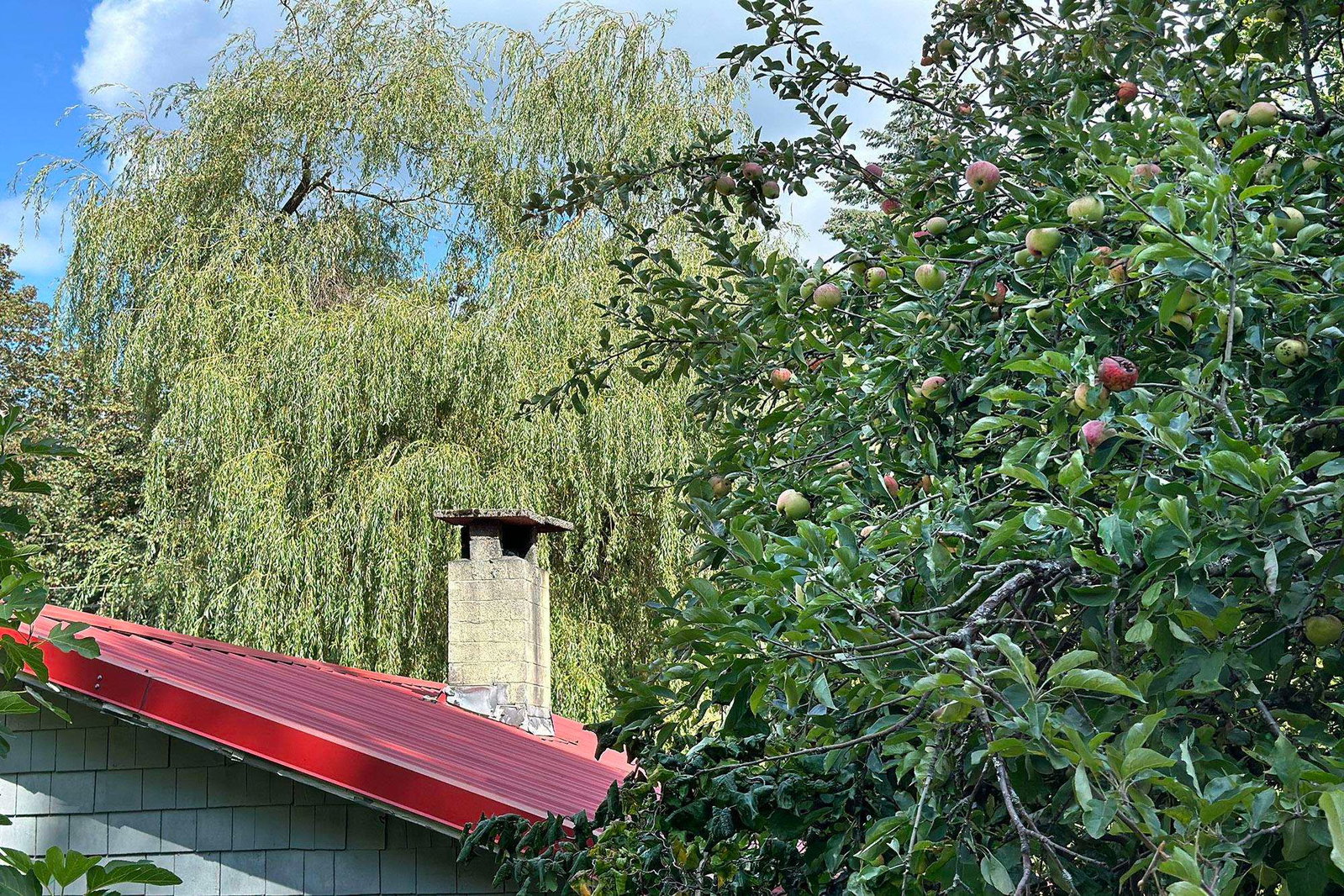 Listing Image 15