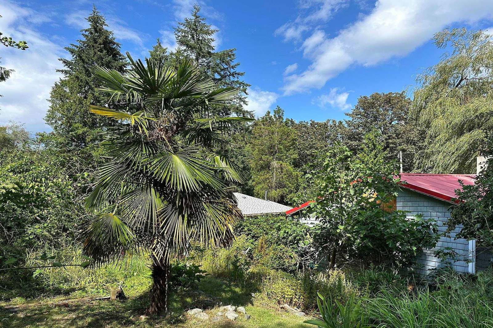 Listing Image 6