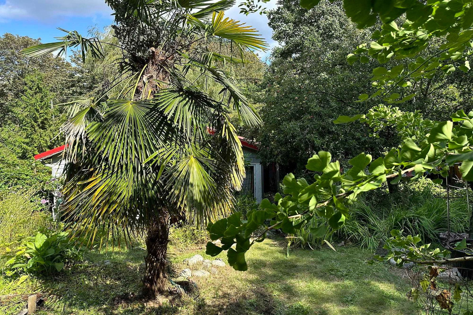 Listing Image 8