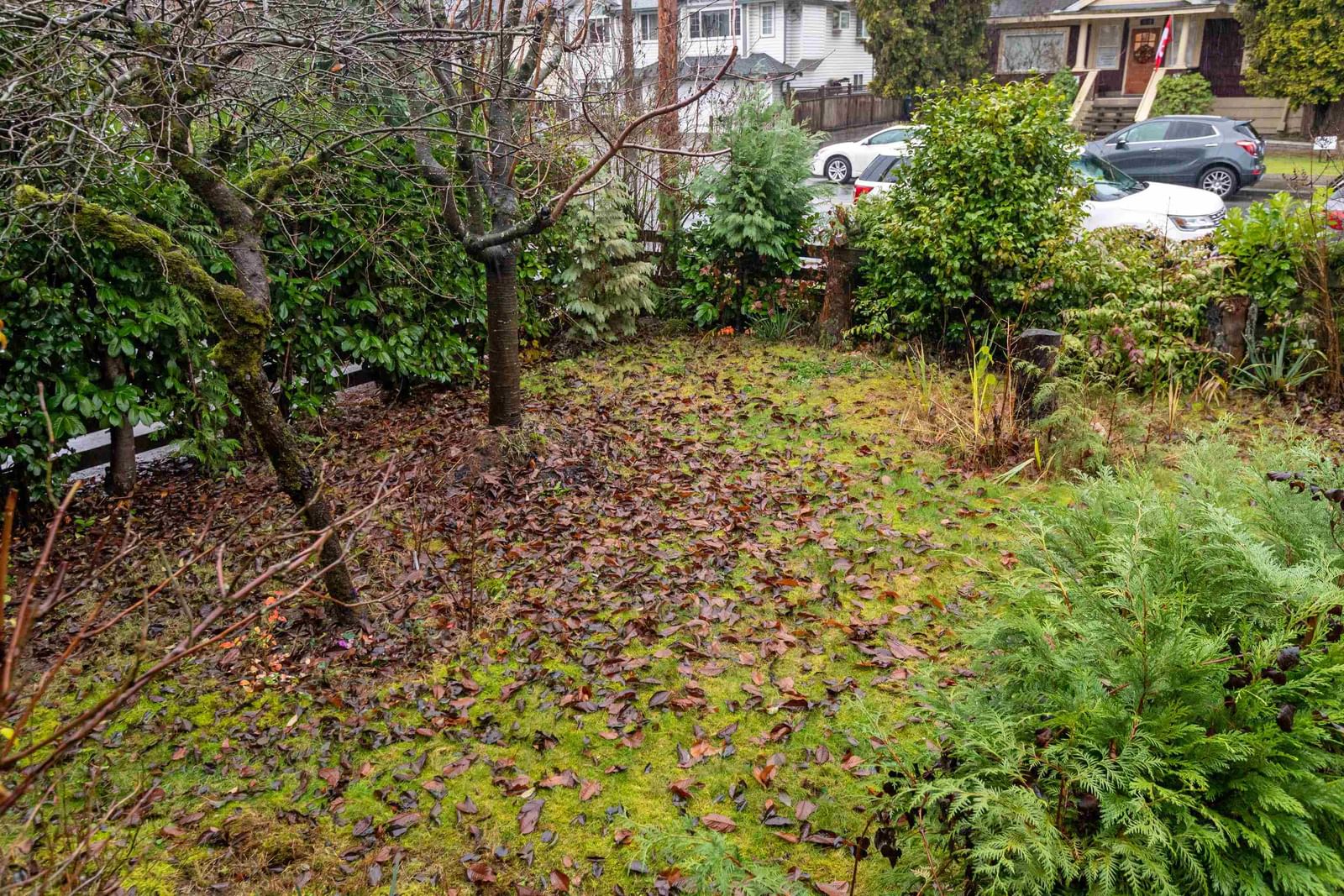 Listing Image 10