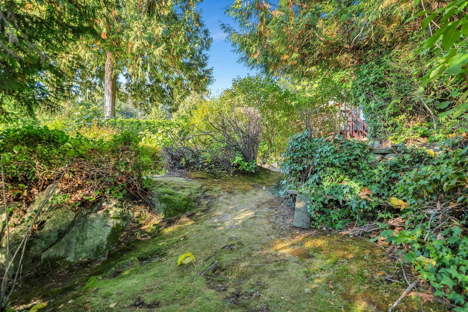 Listing Image 11
