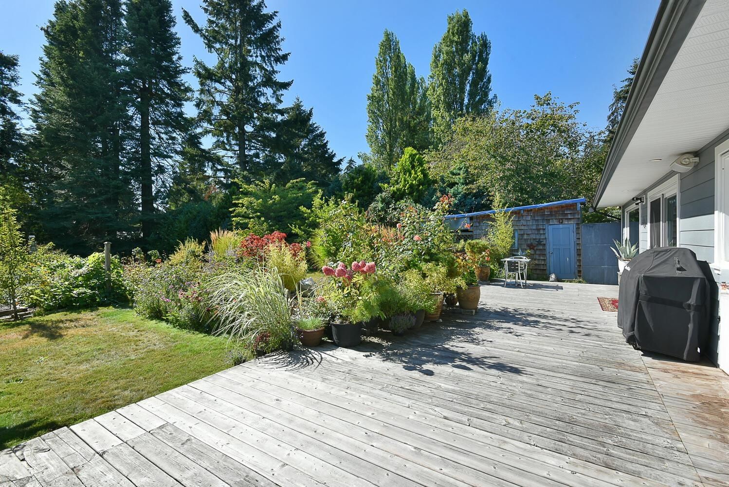 Listing Image 30