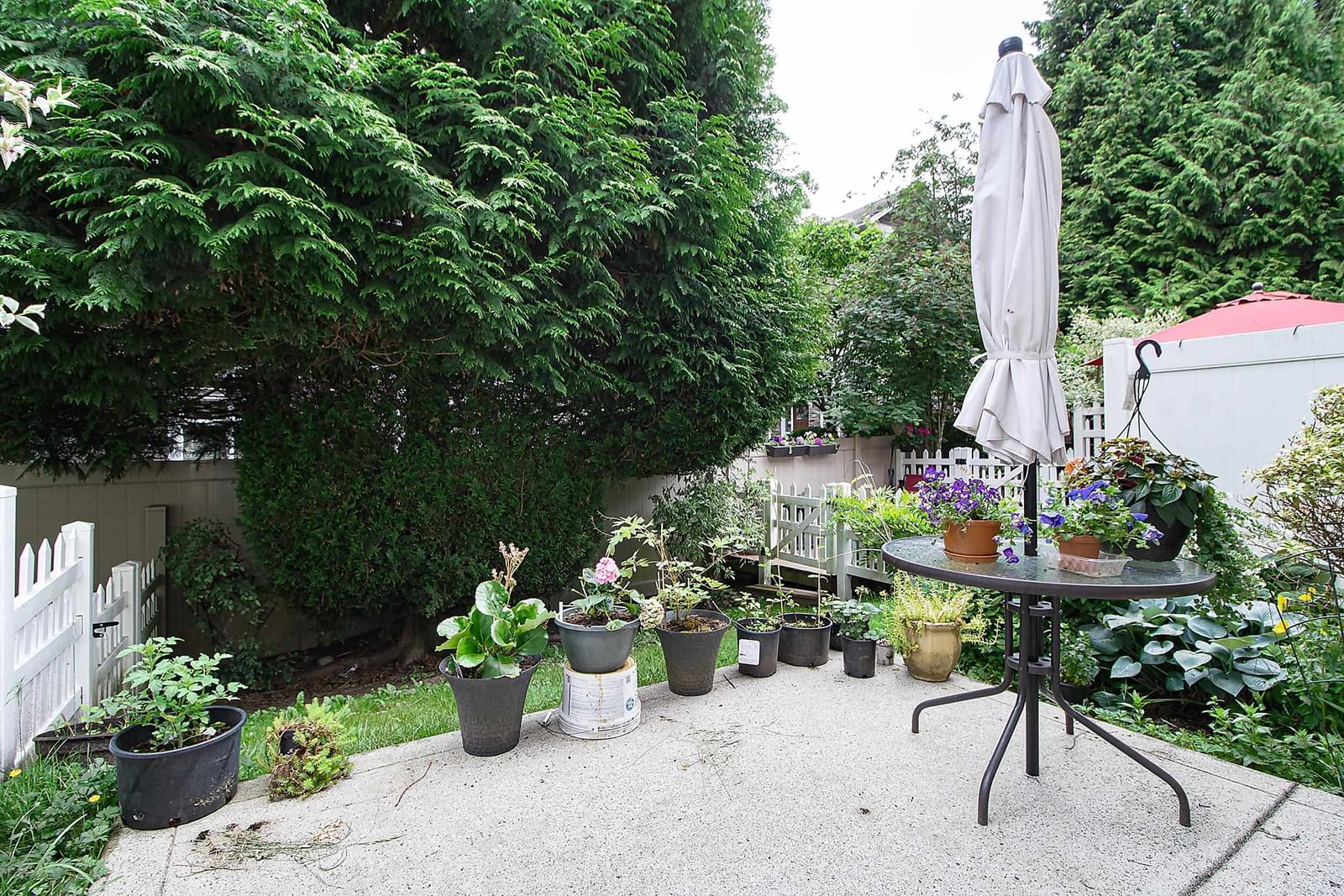 Listing Image 17