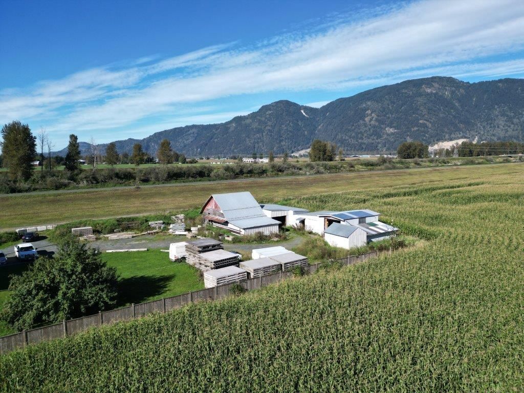 Listing Image 11