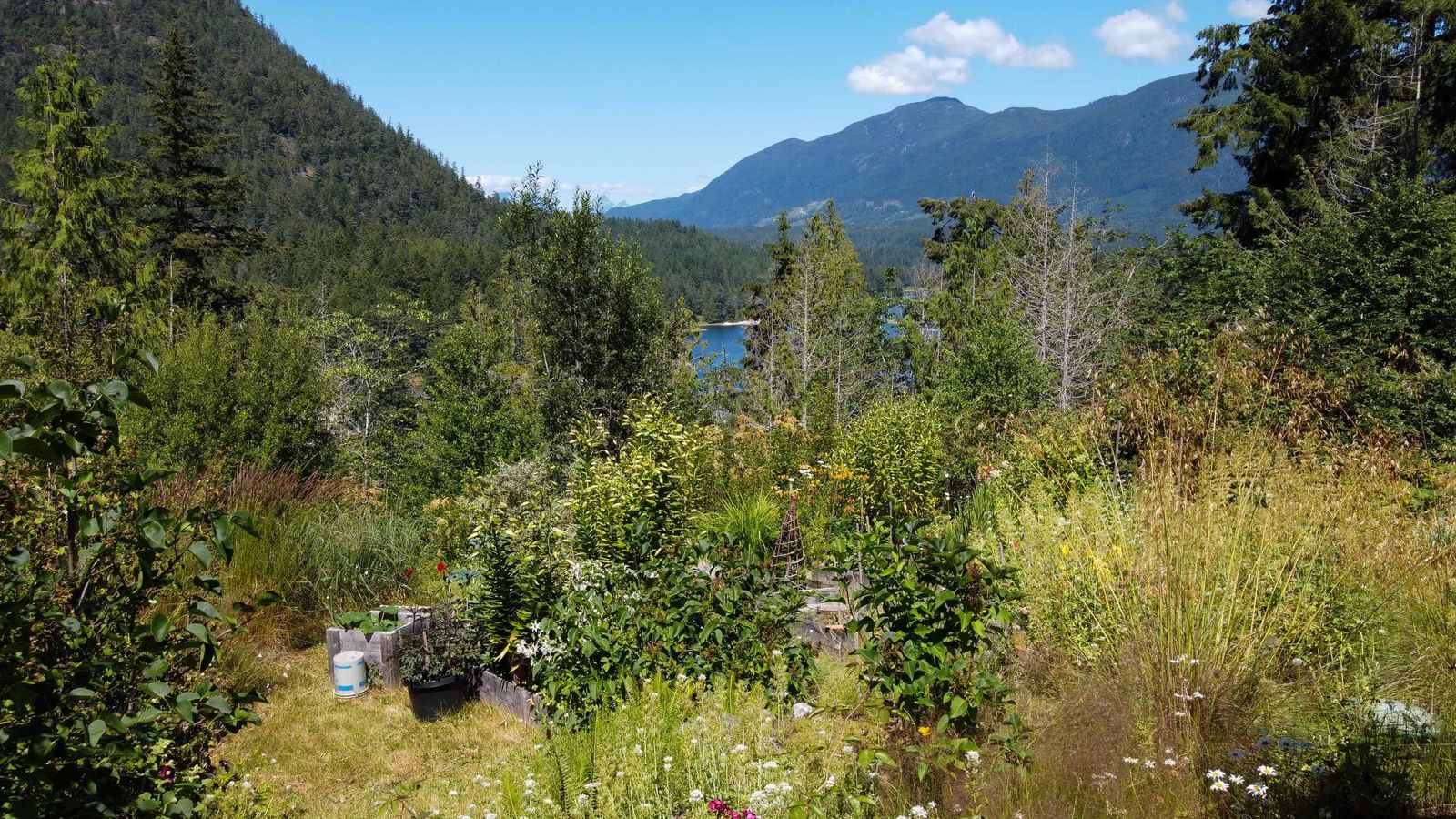 Listing Image 16