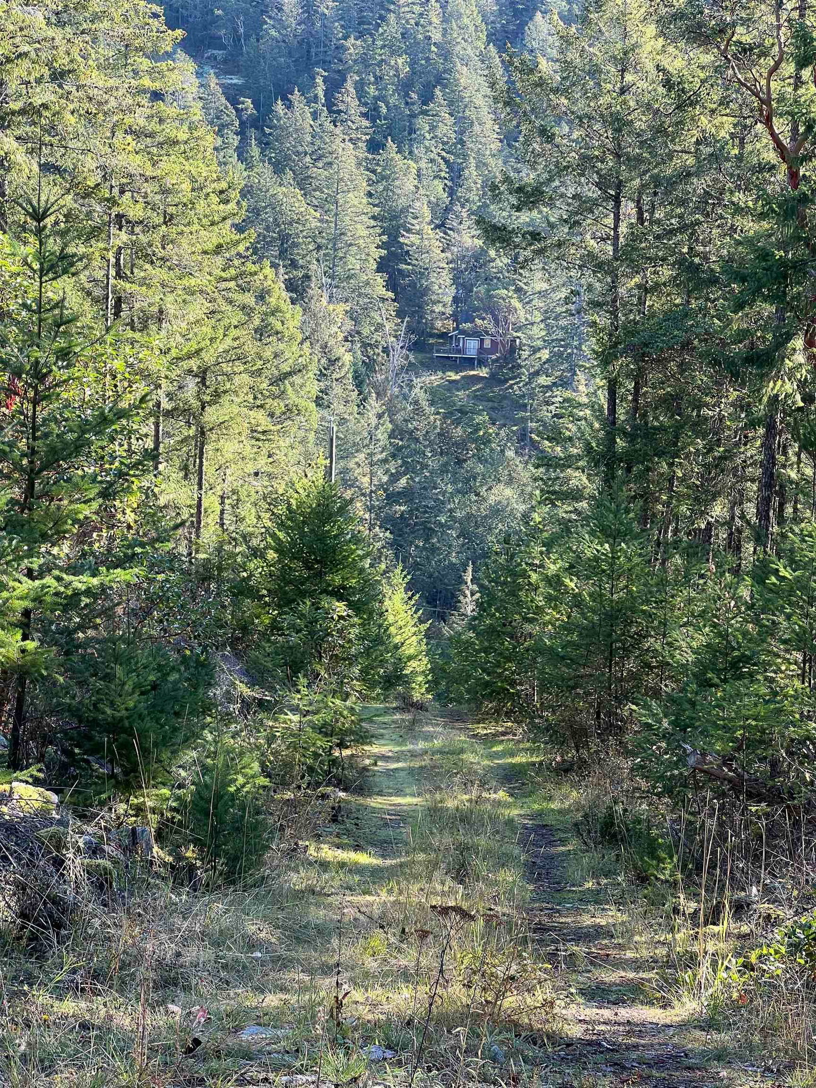 Listing Image 8