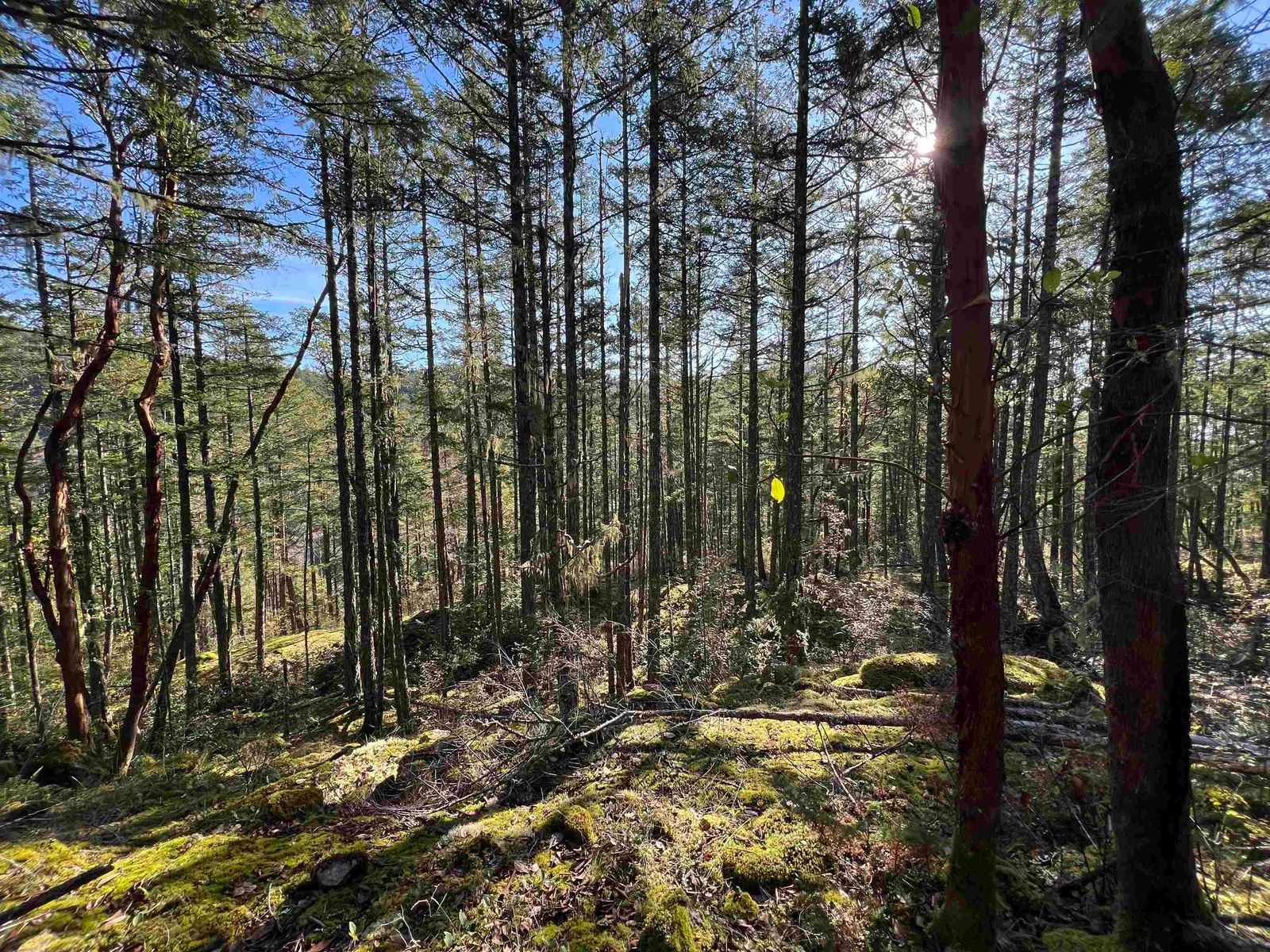 Listing Image 6