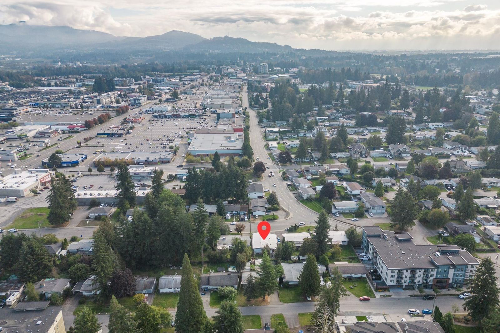 Listing Image 11