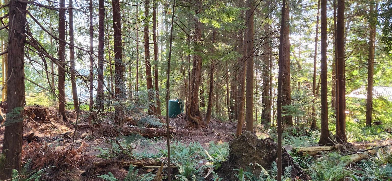 Listing Image 14