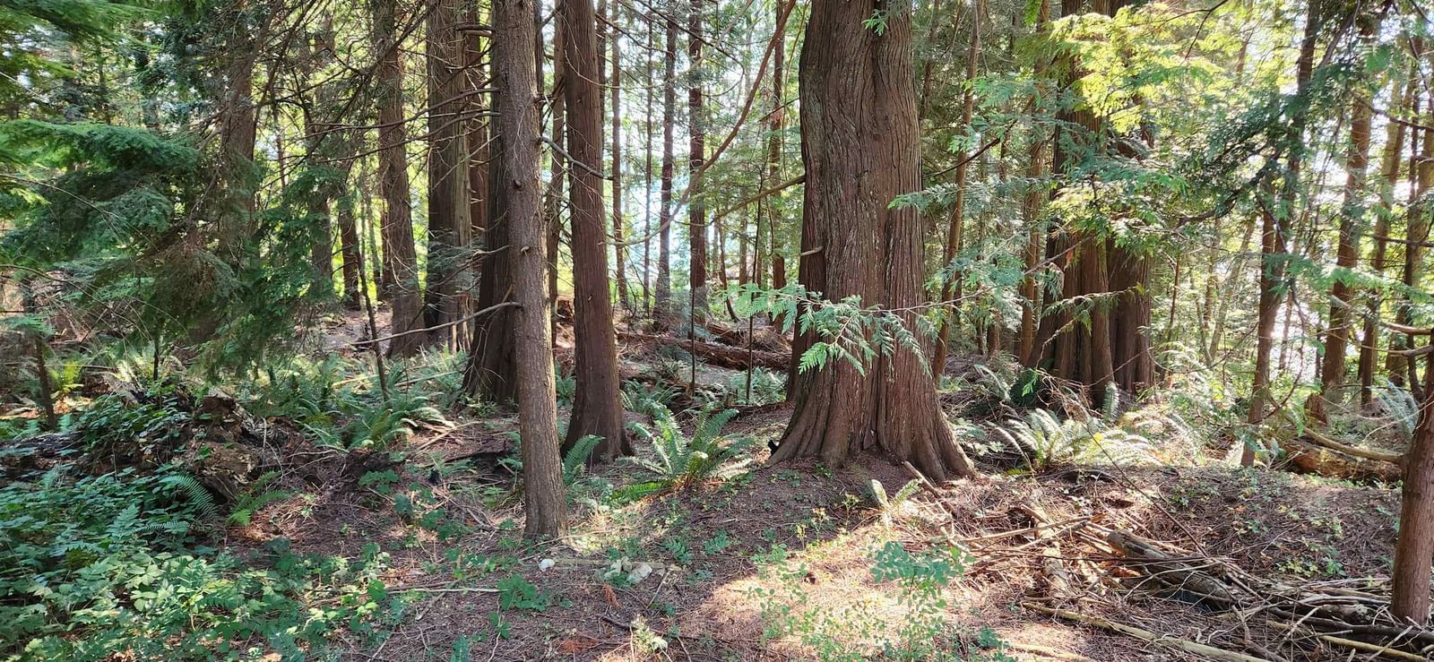 Listing Image 17