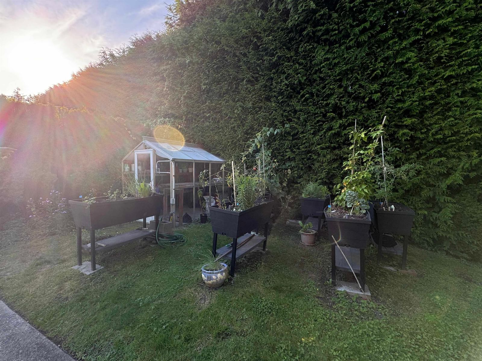 Listing Image 31