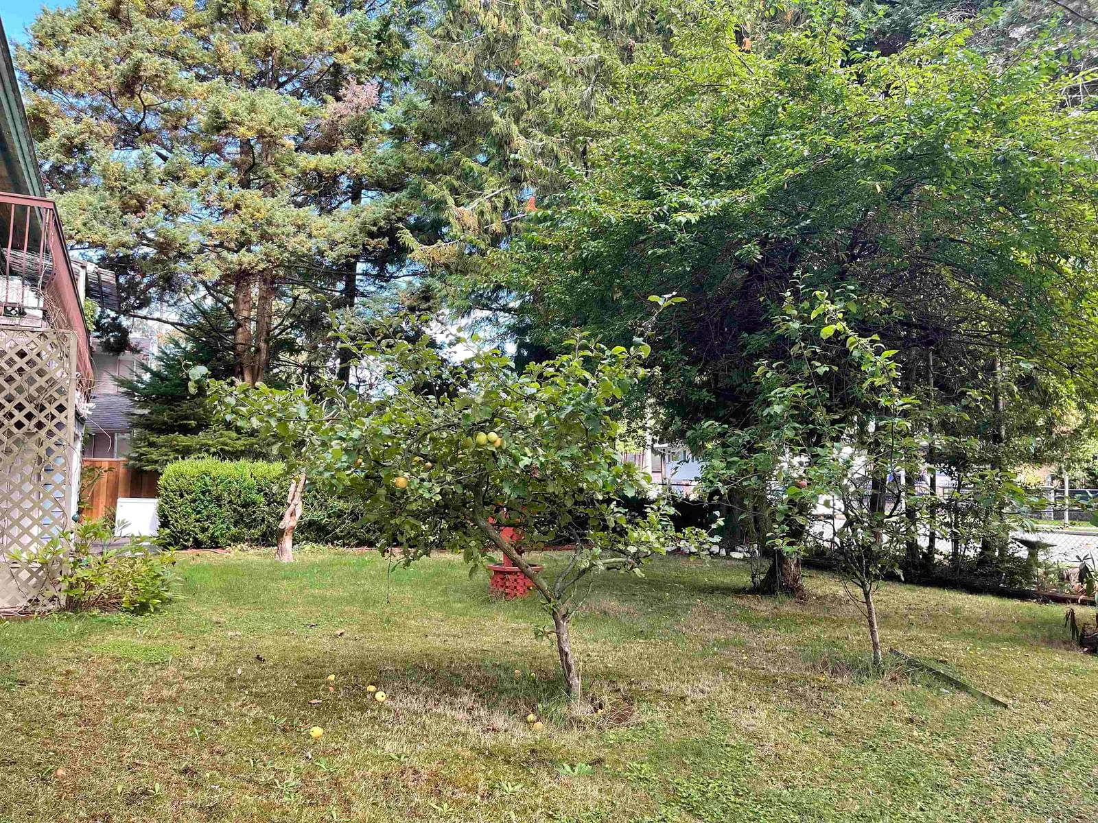 Listing Image 12