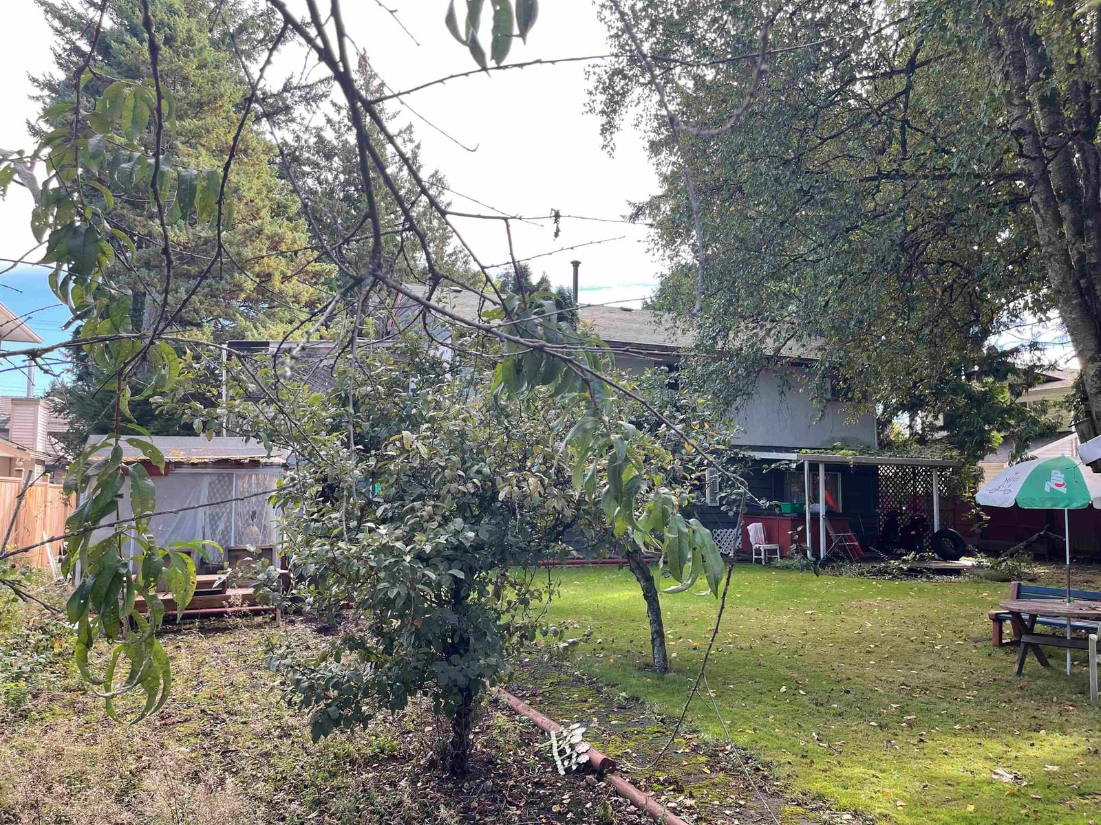 Listing Image 19
