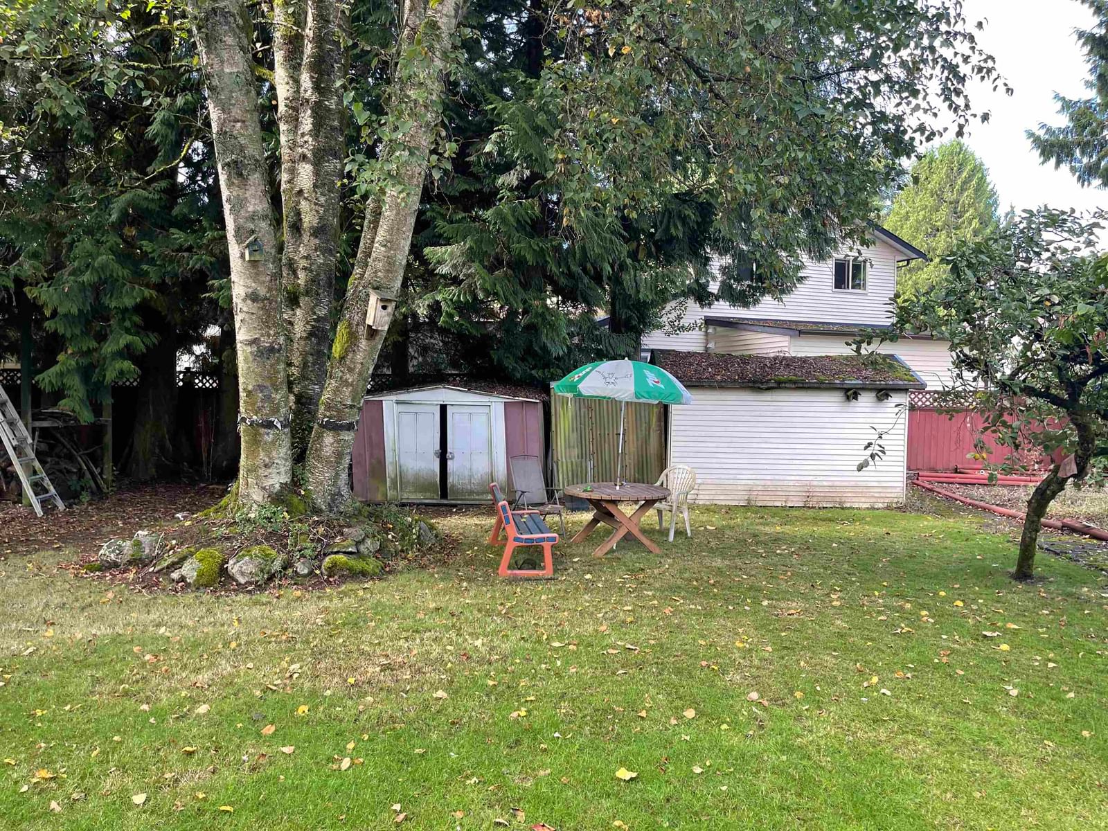 Listing Image 21