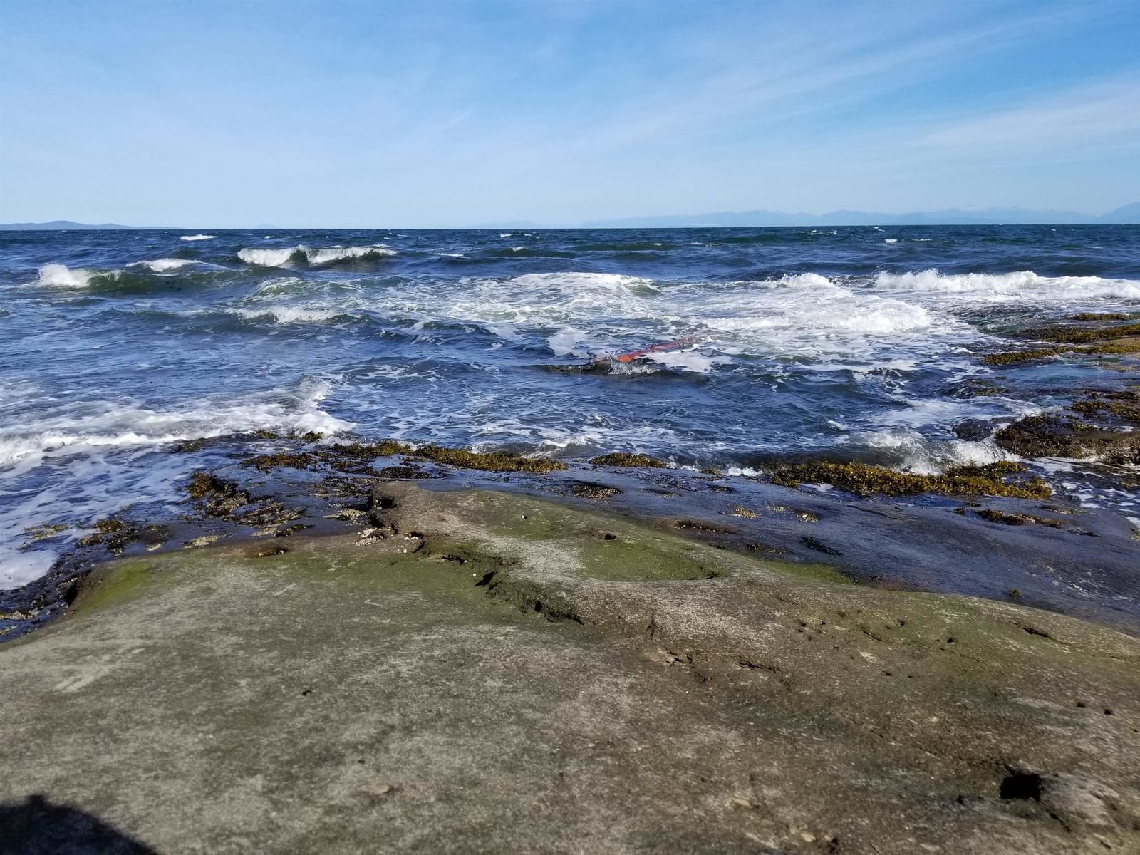 Listing Image 31