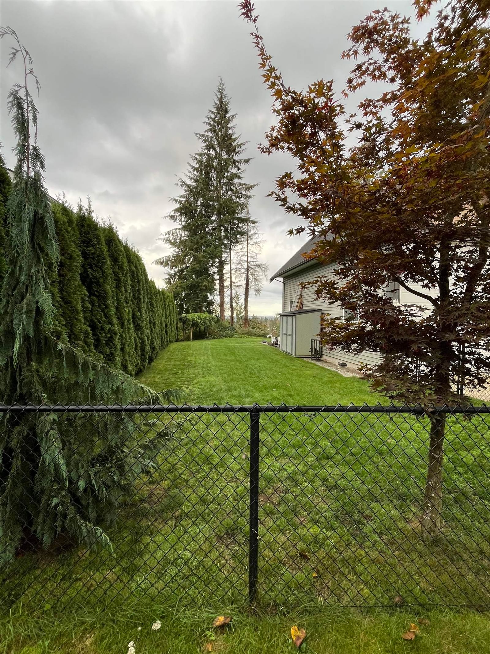 Listing Image 28