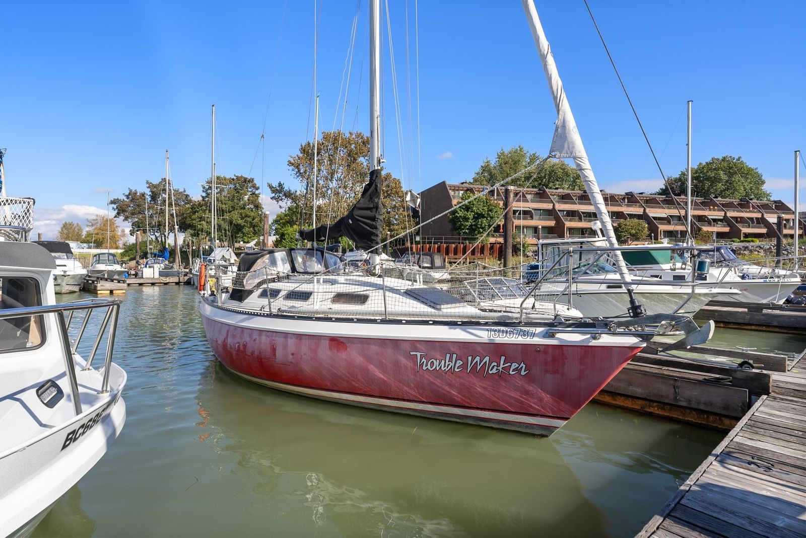 Listing Image 33