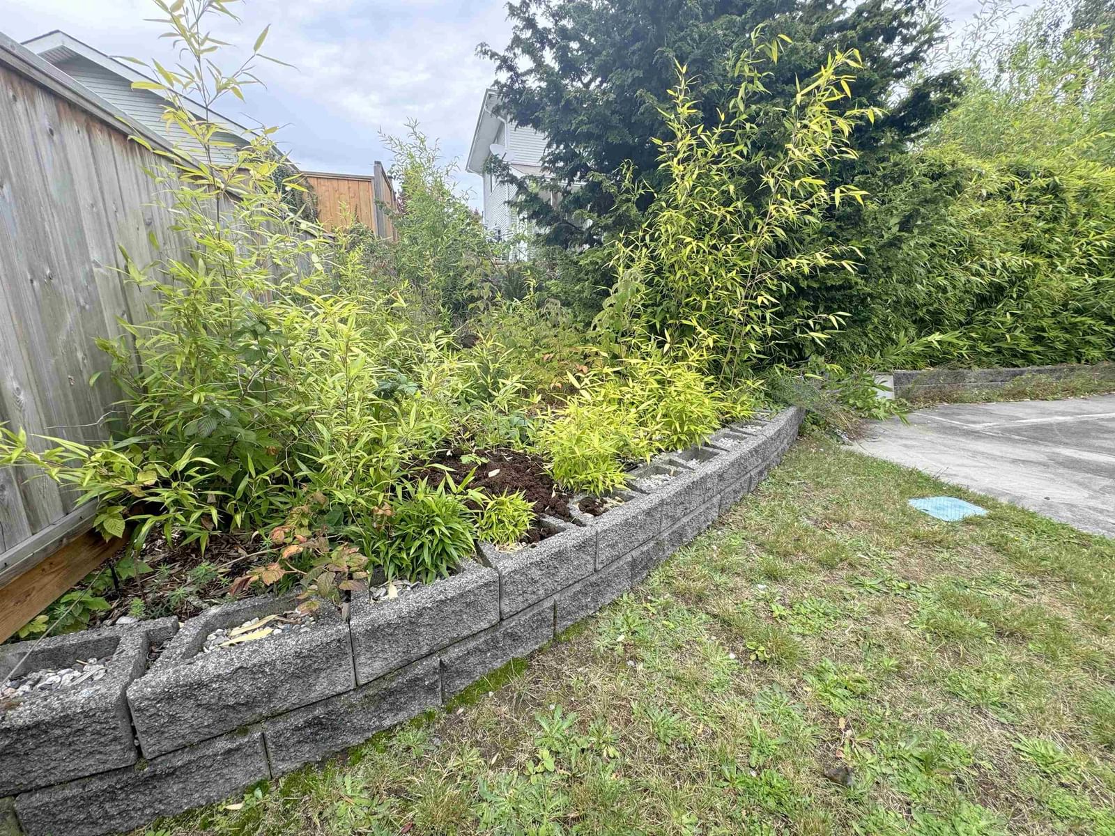 Listing Image 25
