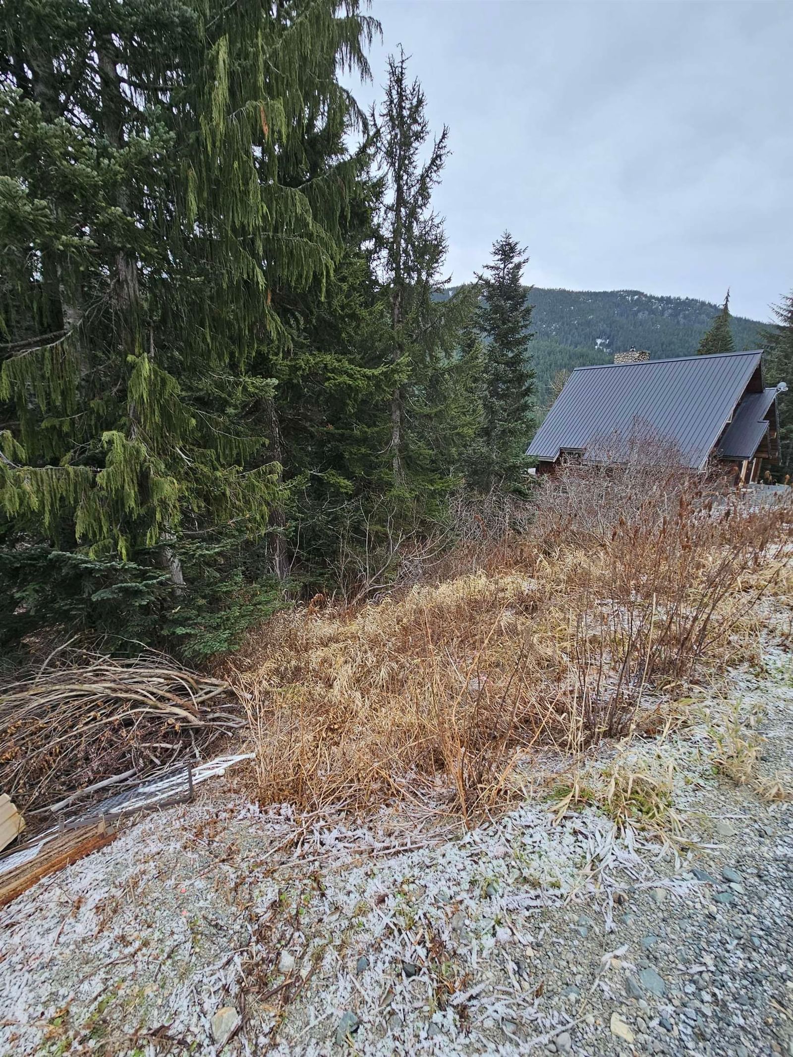 Listing Image 18