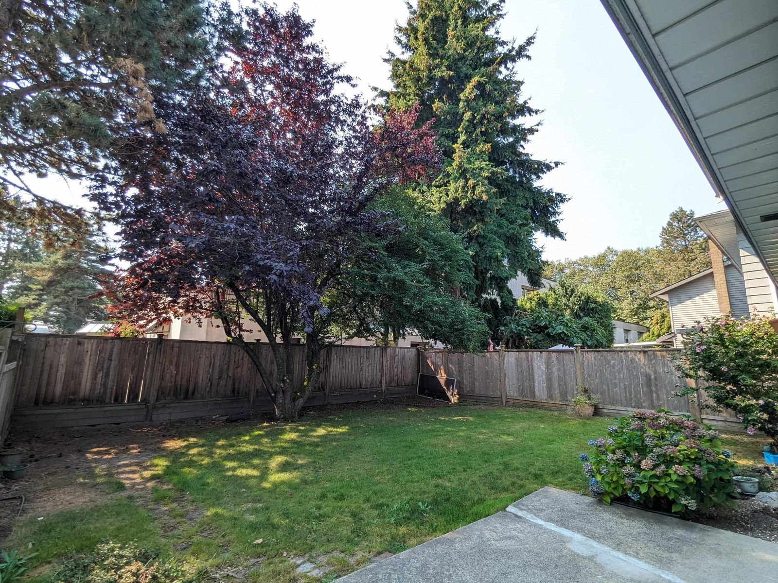Listing Image 32