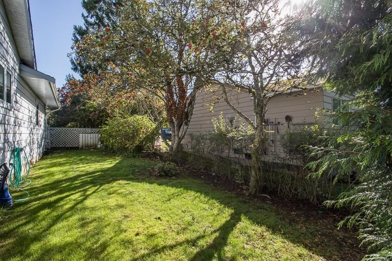 Listing Image 25