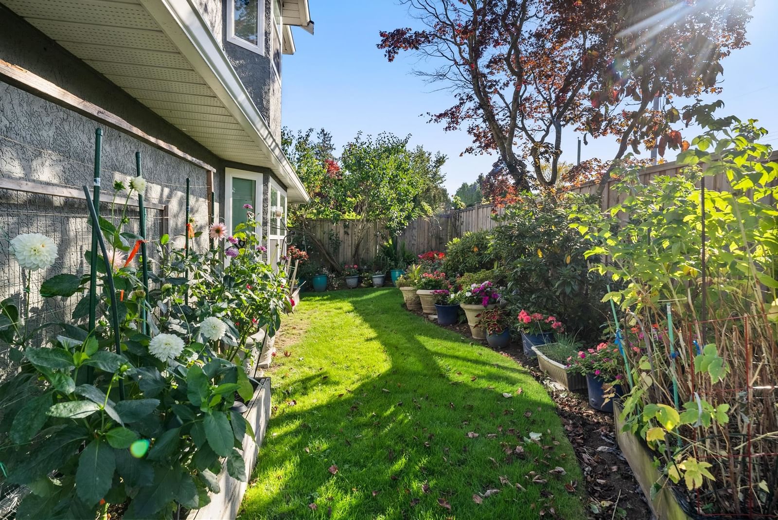 Listing Image 19