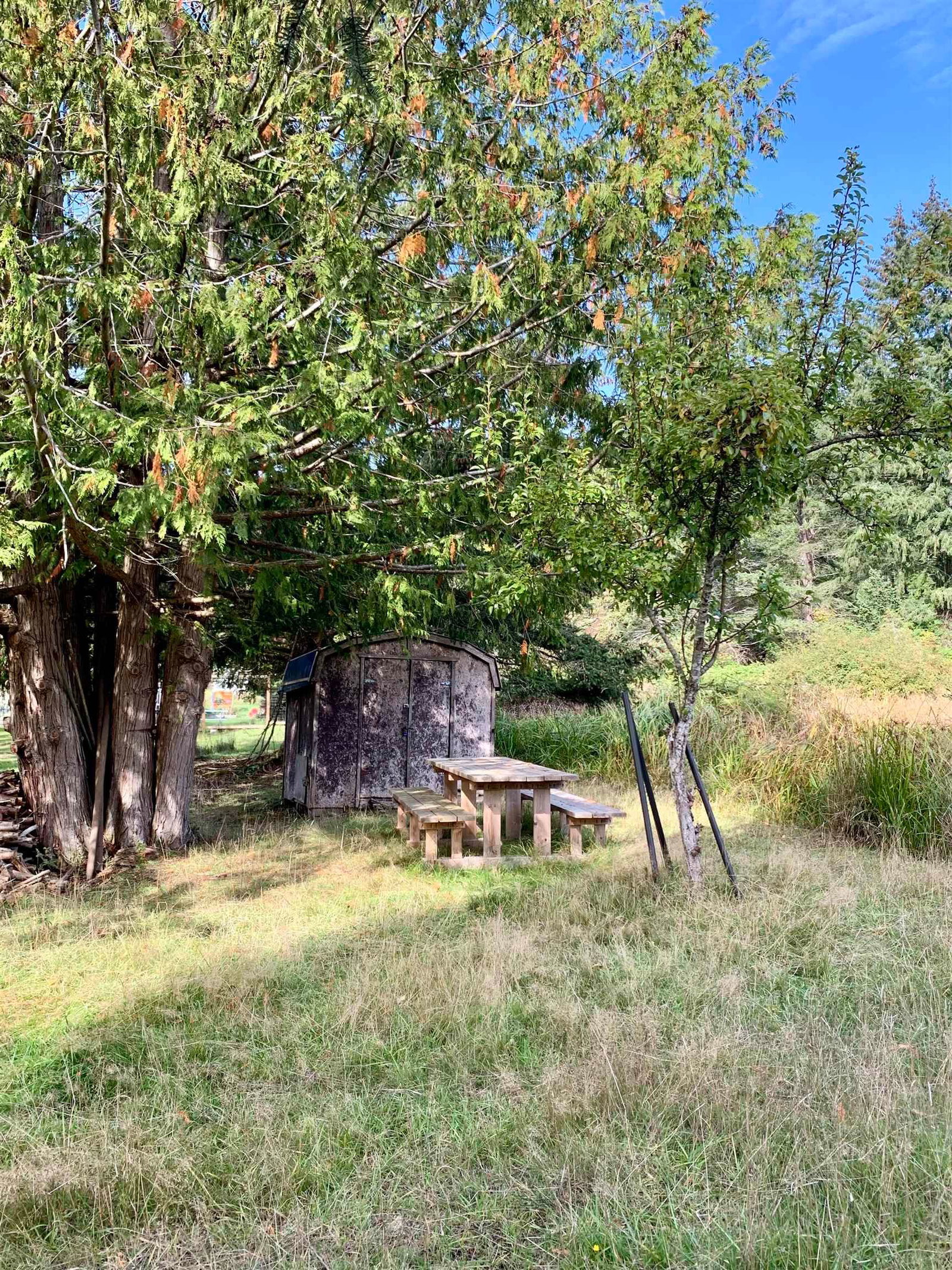 Listing Image 13