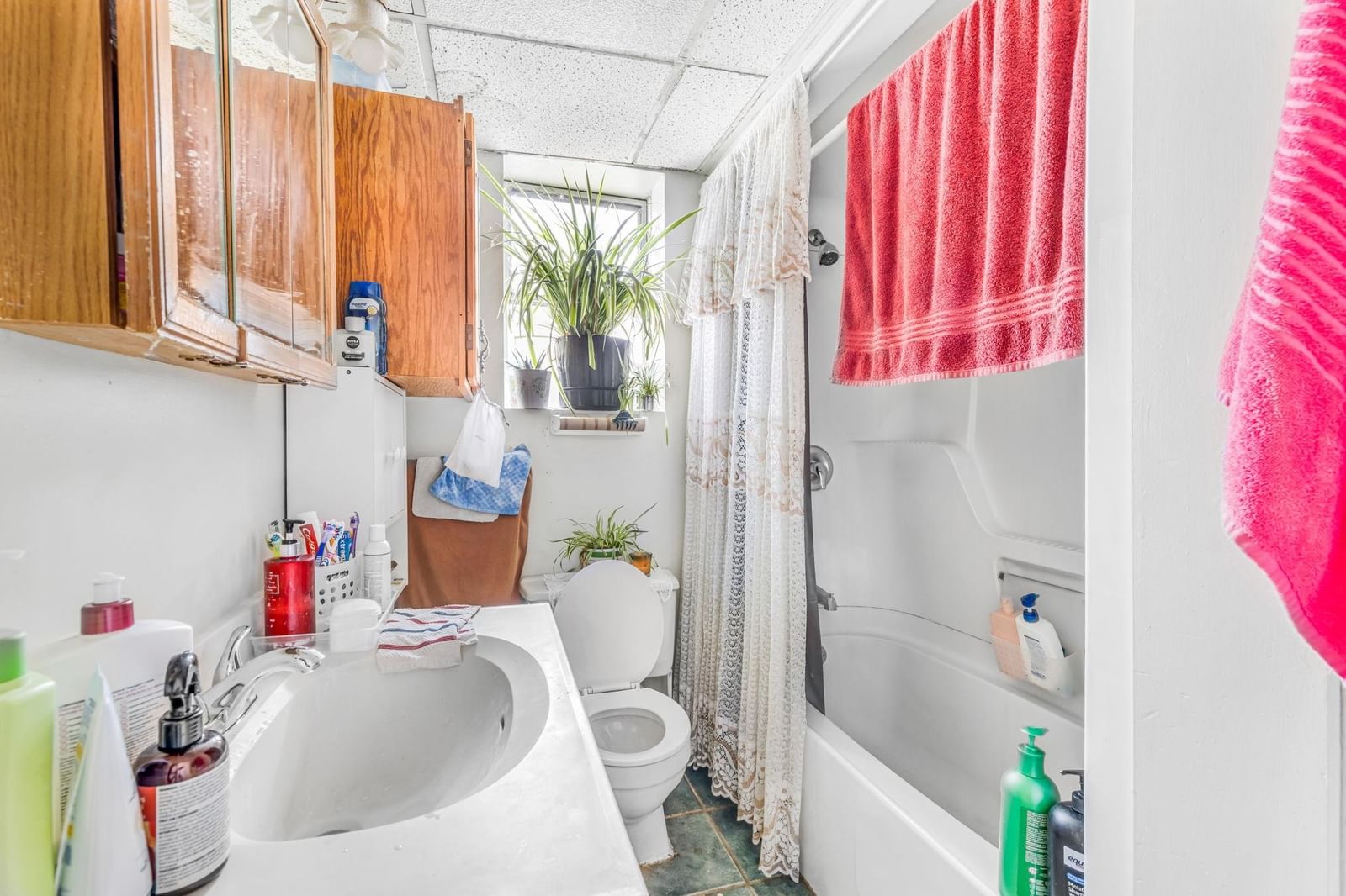 Listing Image 21