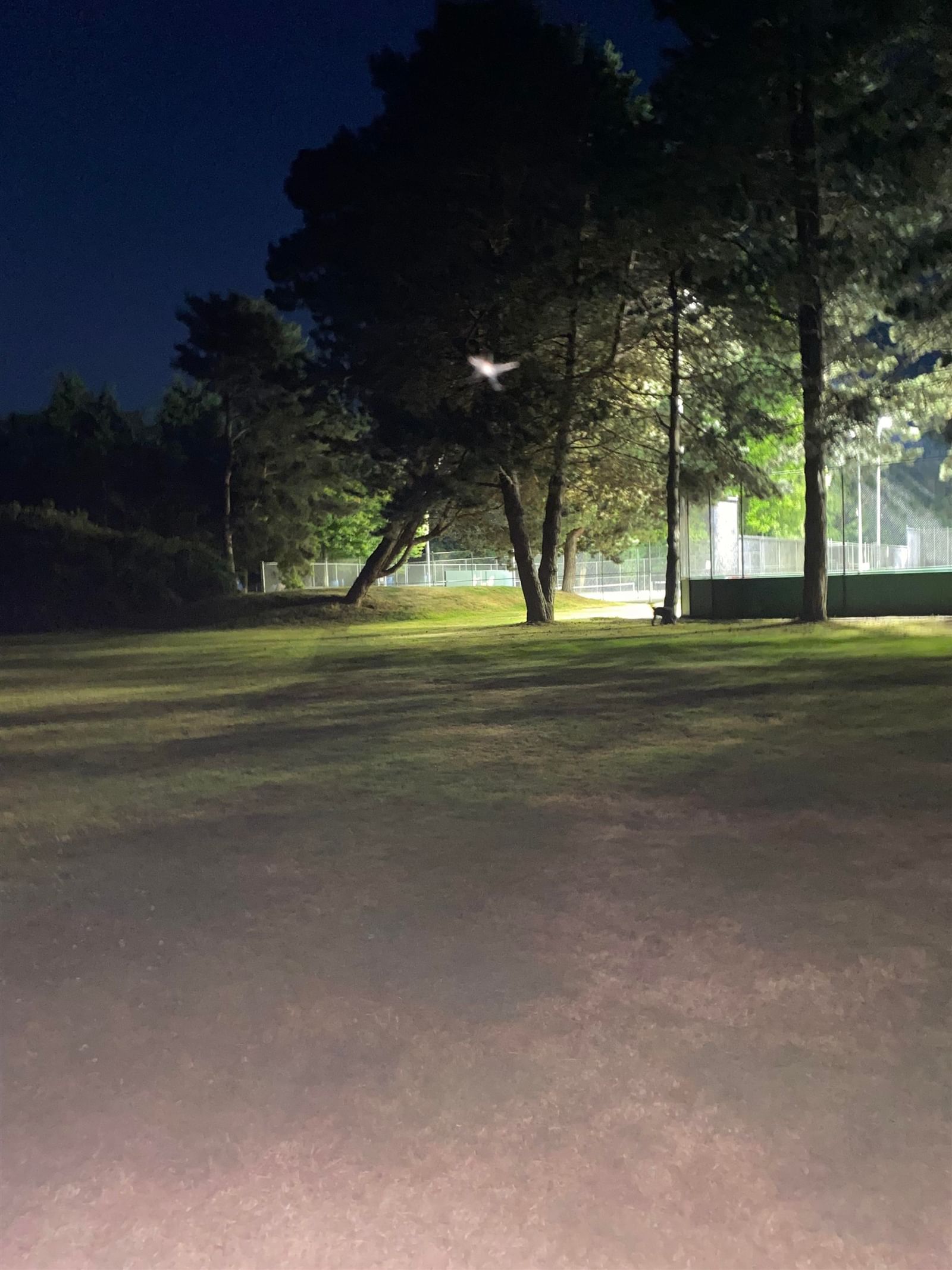 Listing Image 34