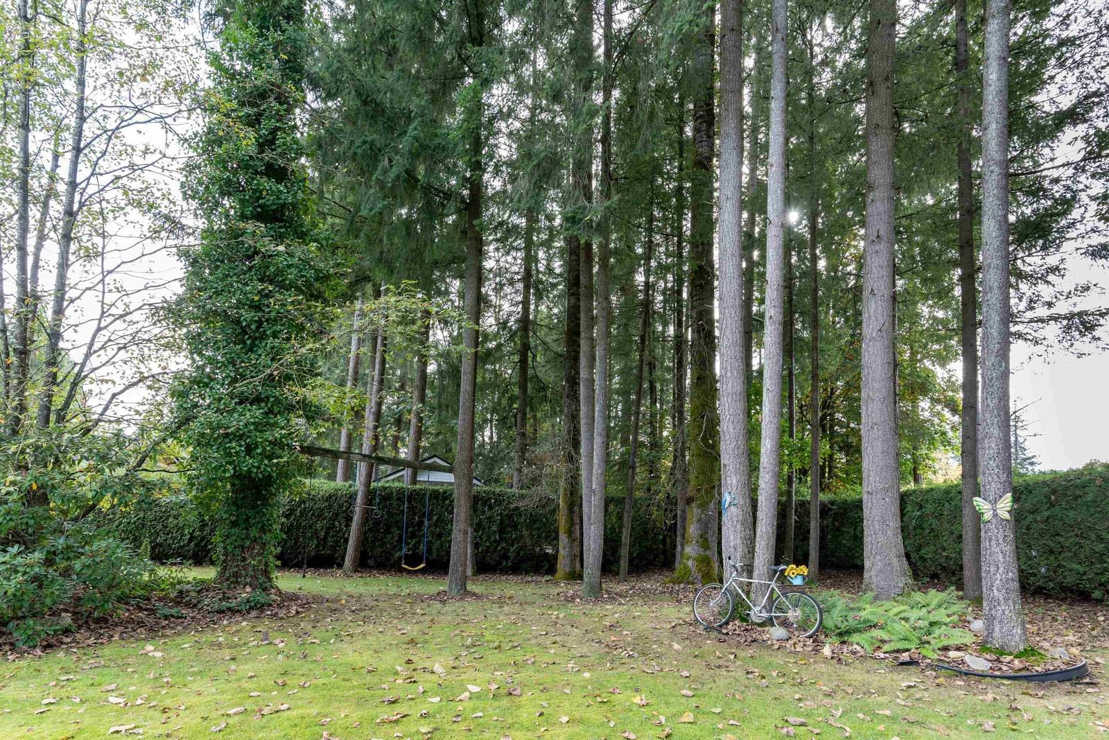 Listing Image 35