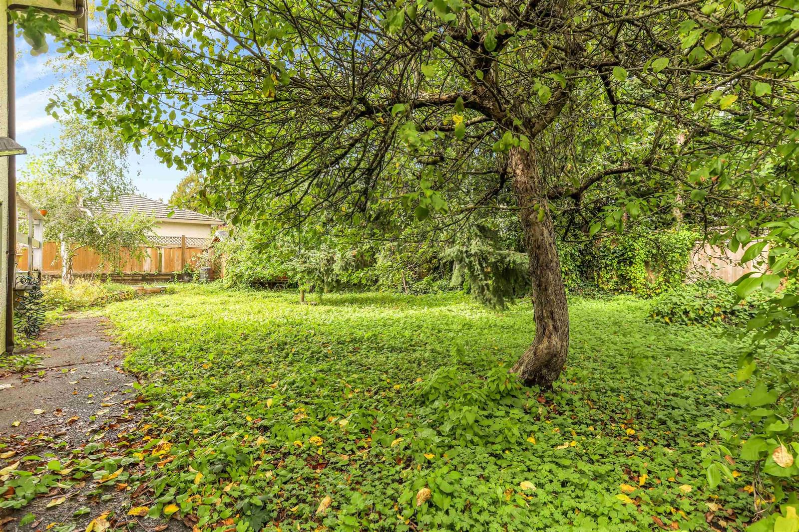 Listing Image 8