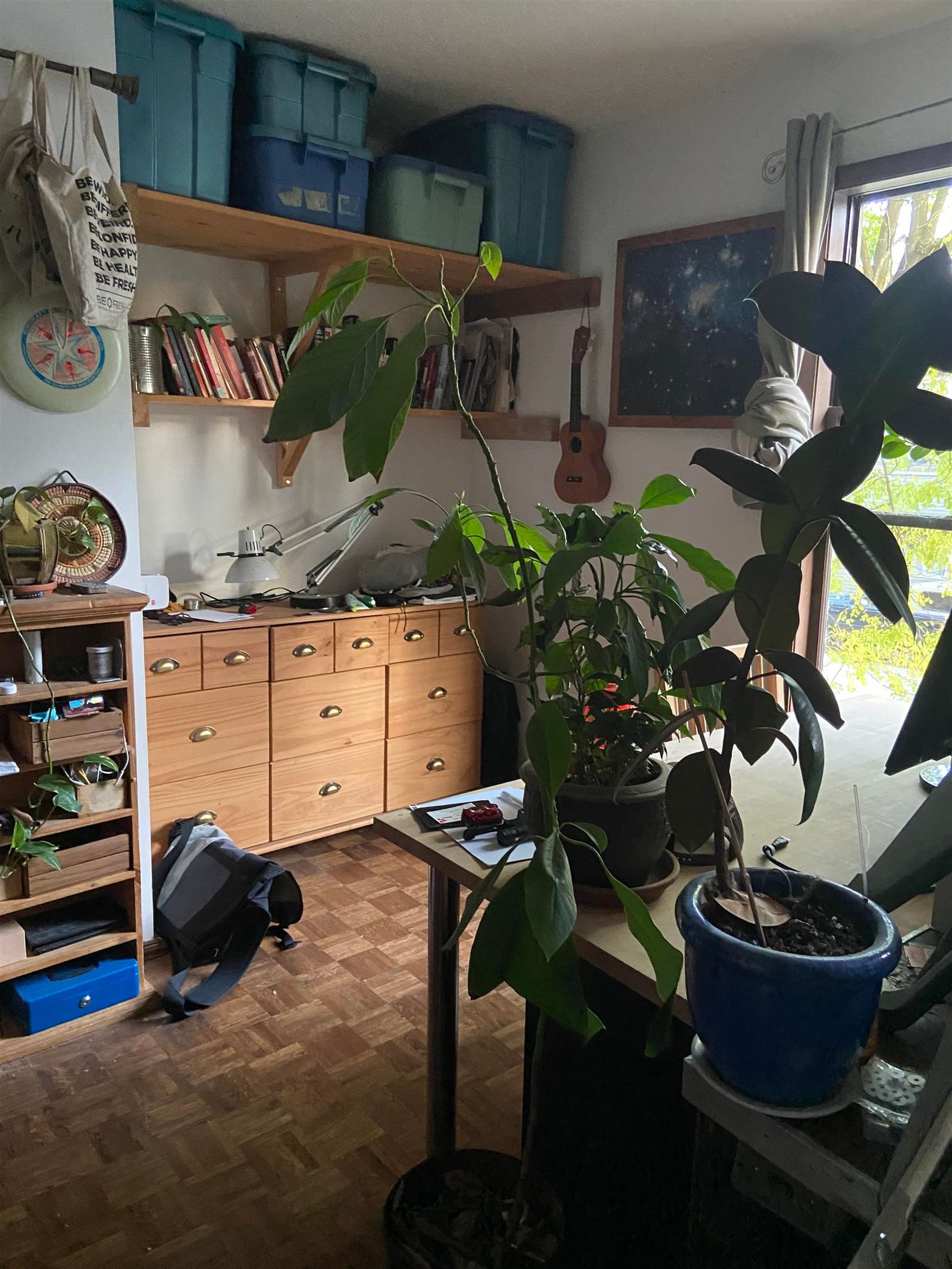 Listing Image 15