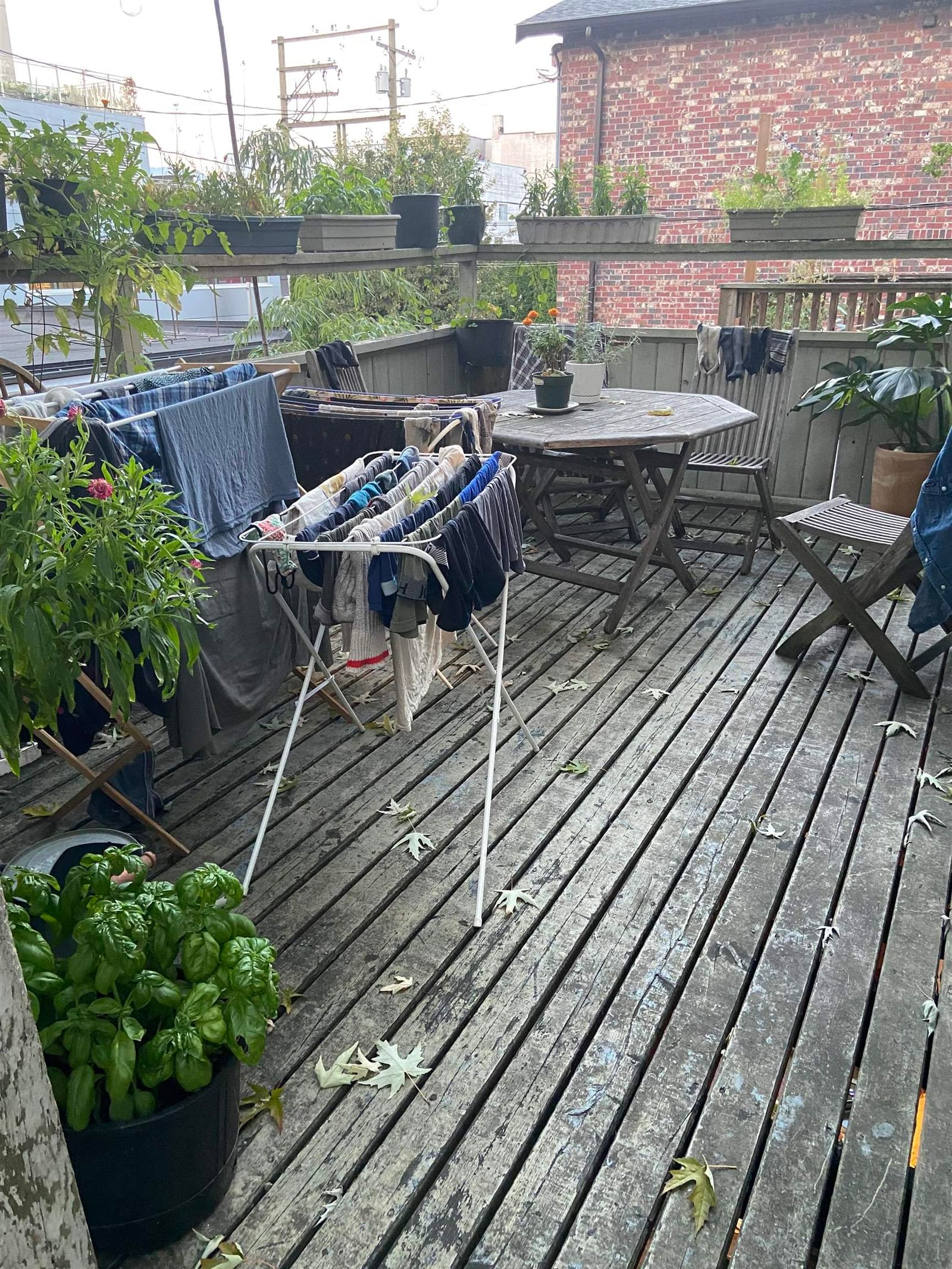 Listing Image 16