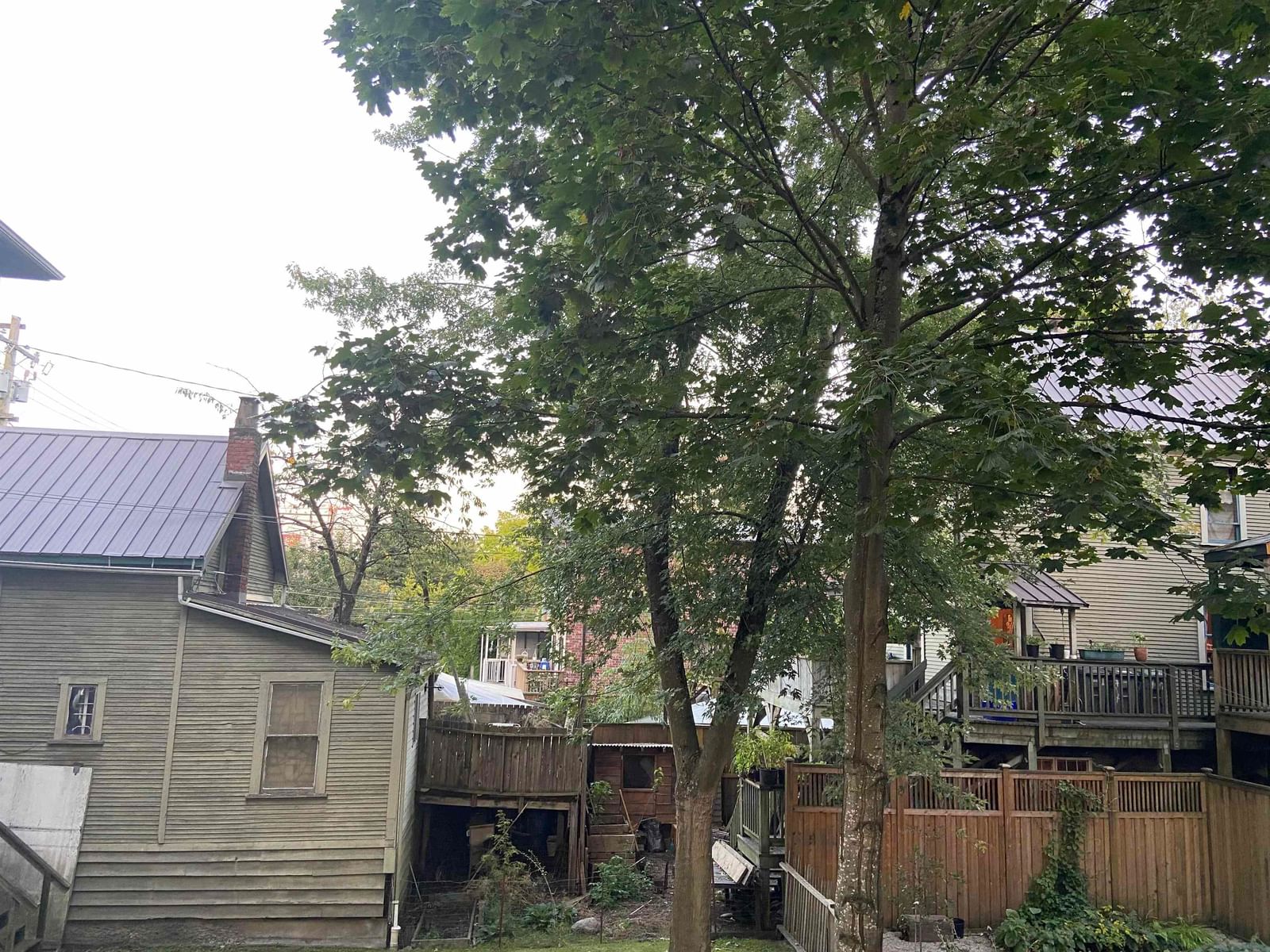 Listing Image 31