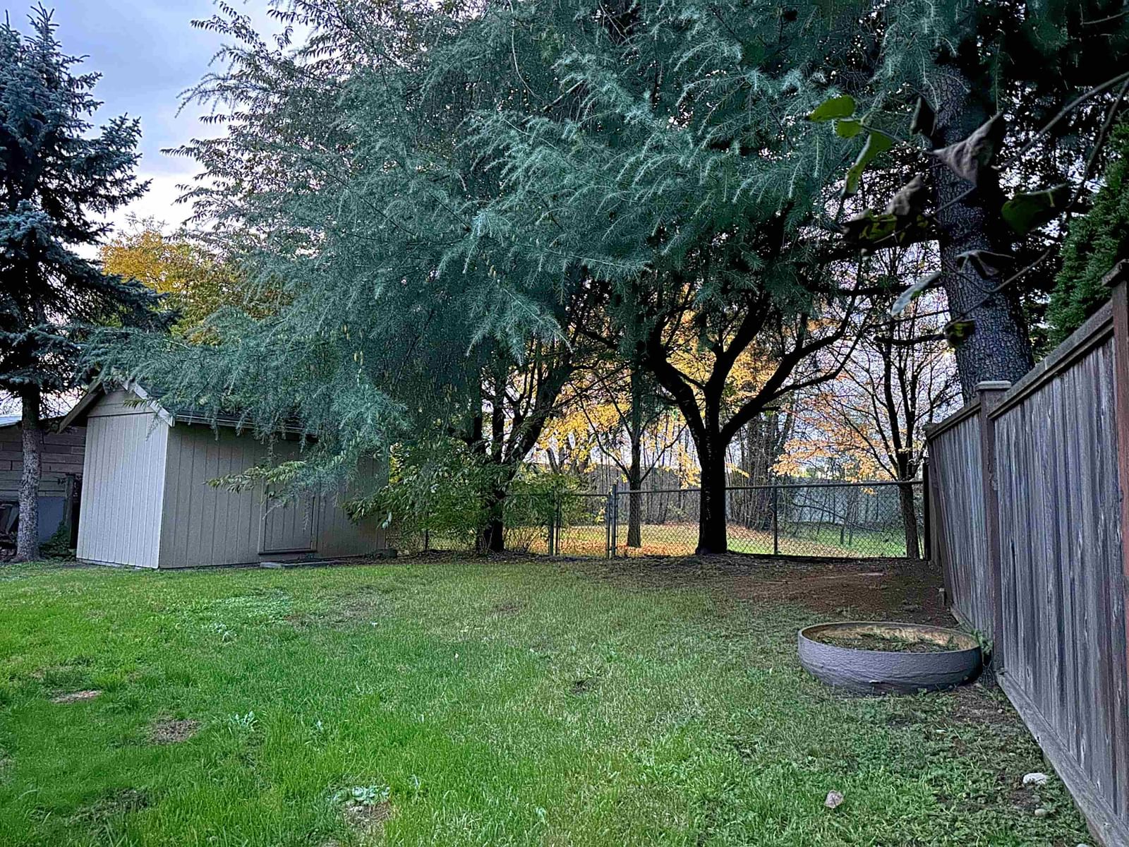 Listing Image 15